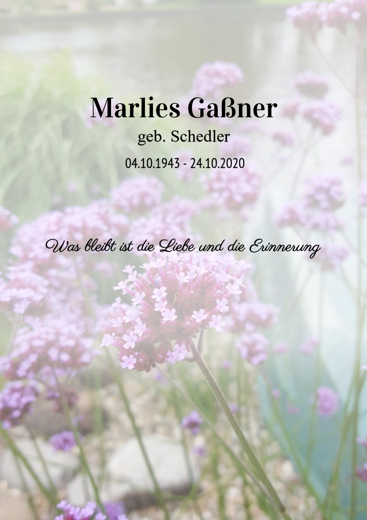 Traueranzeige von Marlies Gaßner