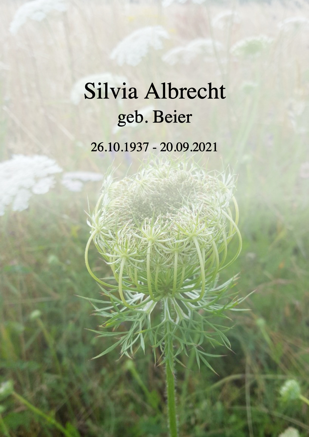 Traueranzeige von Silvia Albrecht