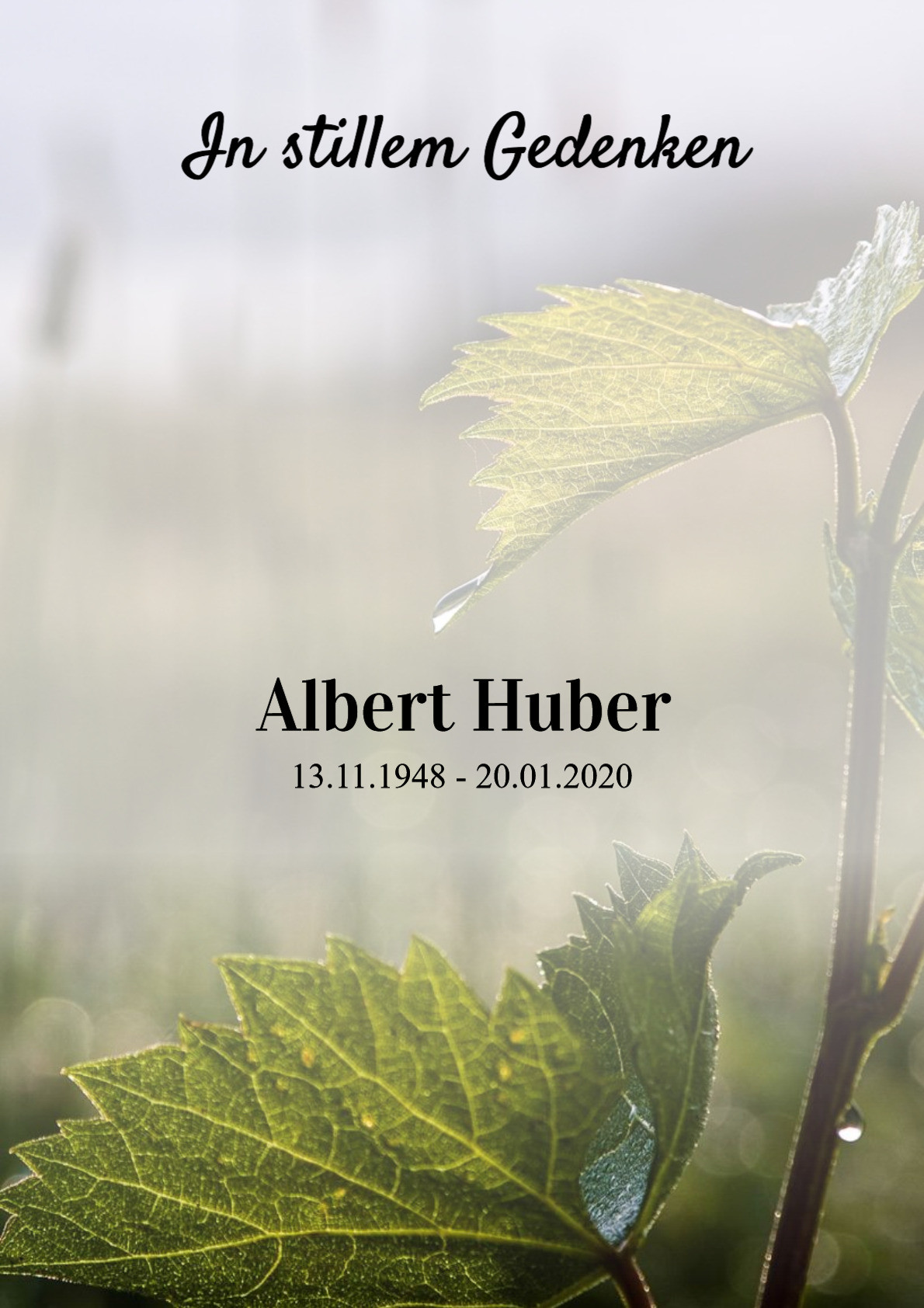 Traueranzeige von Albert Huber