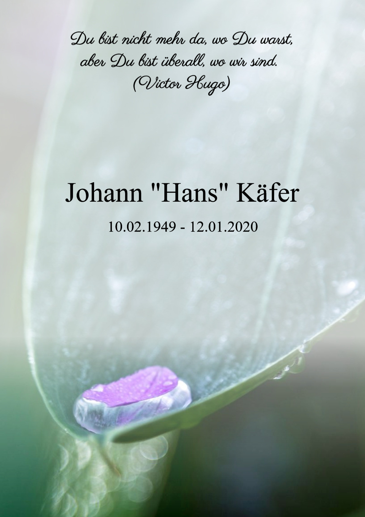 Traueranzeige von Johann "Hans" Käfer