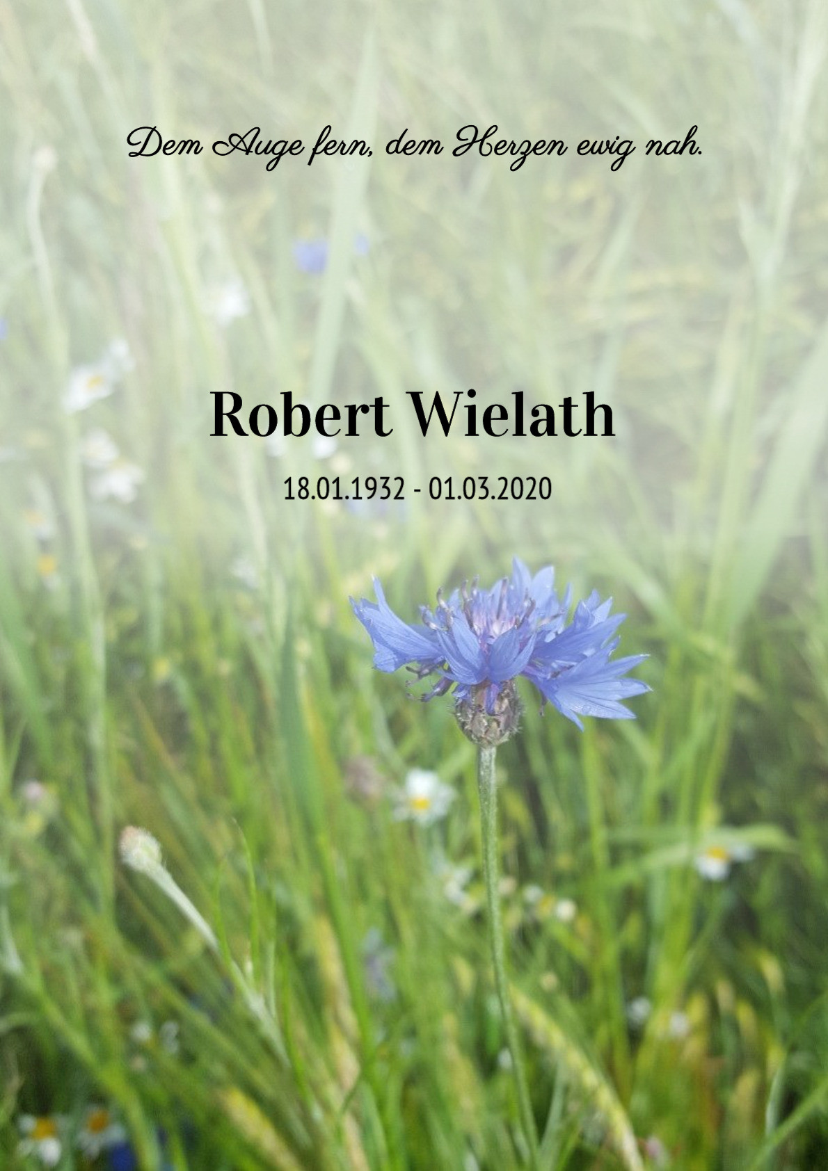 Traueranzeige von Robert Wielath