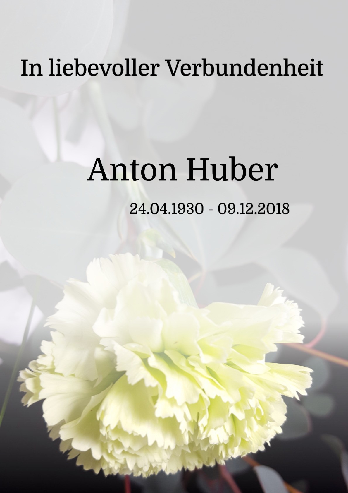 Traueranzeige von Anton Huber