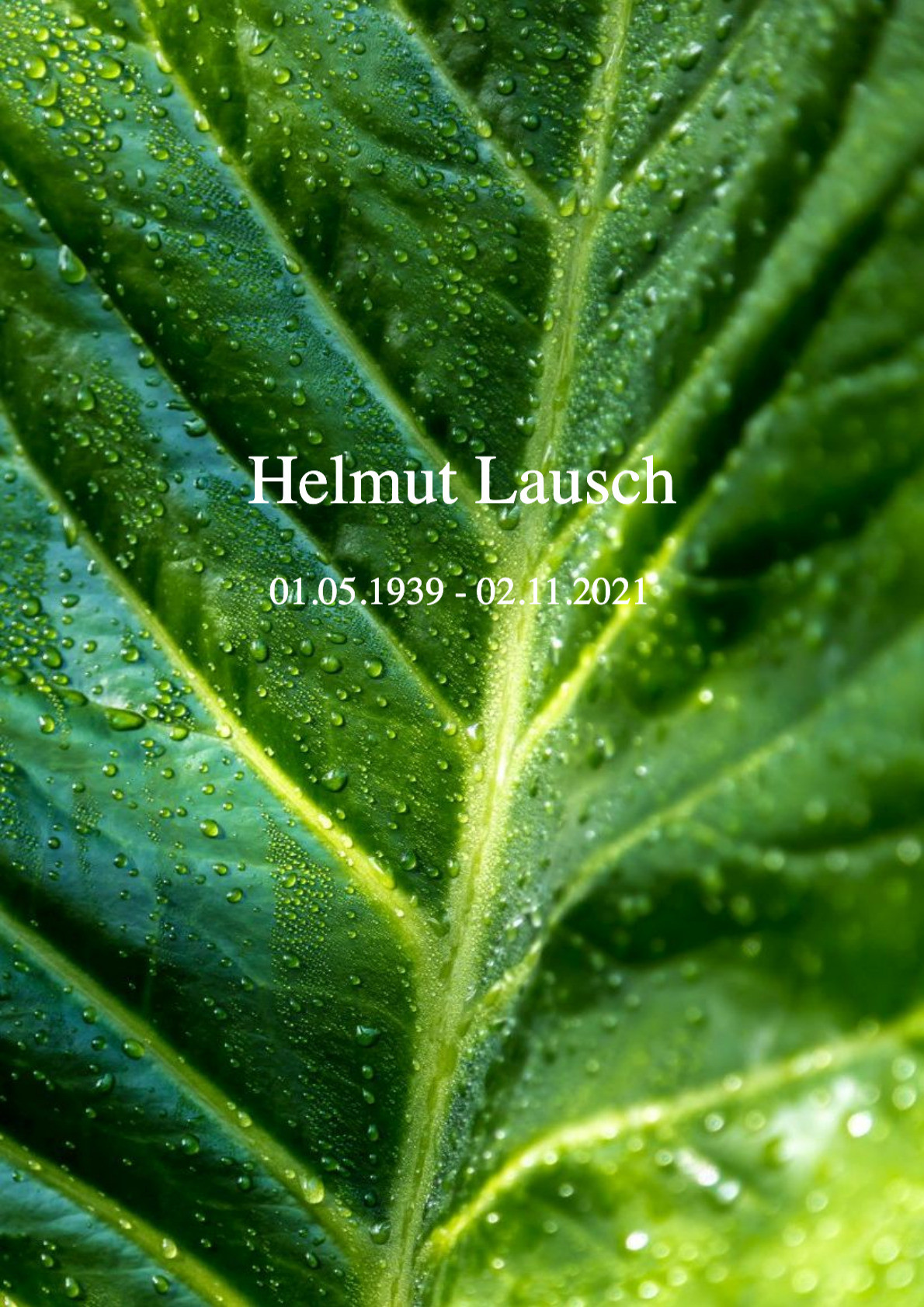 Traueranzeige von Helmut Lausch