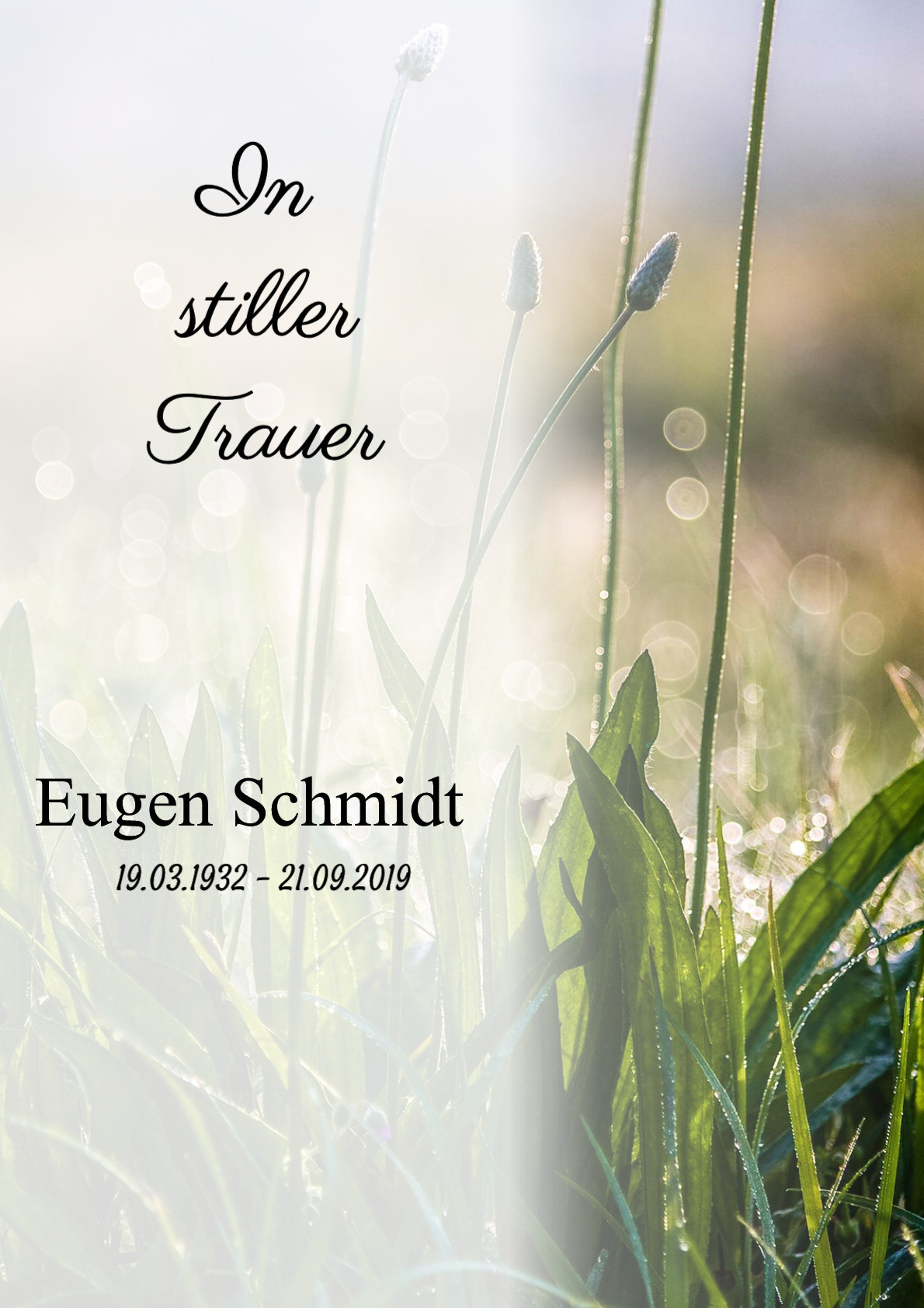 Traueranzeige von Eugen Schmidt