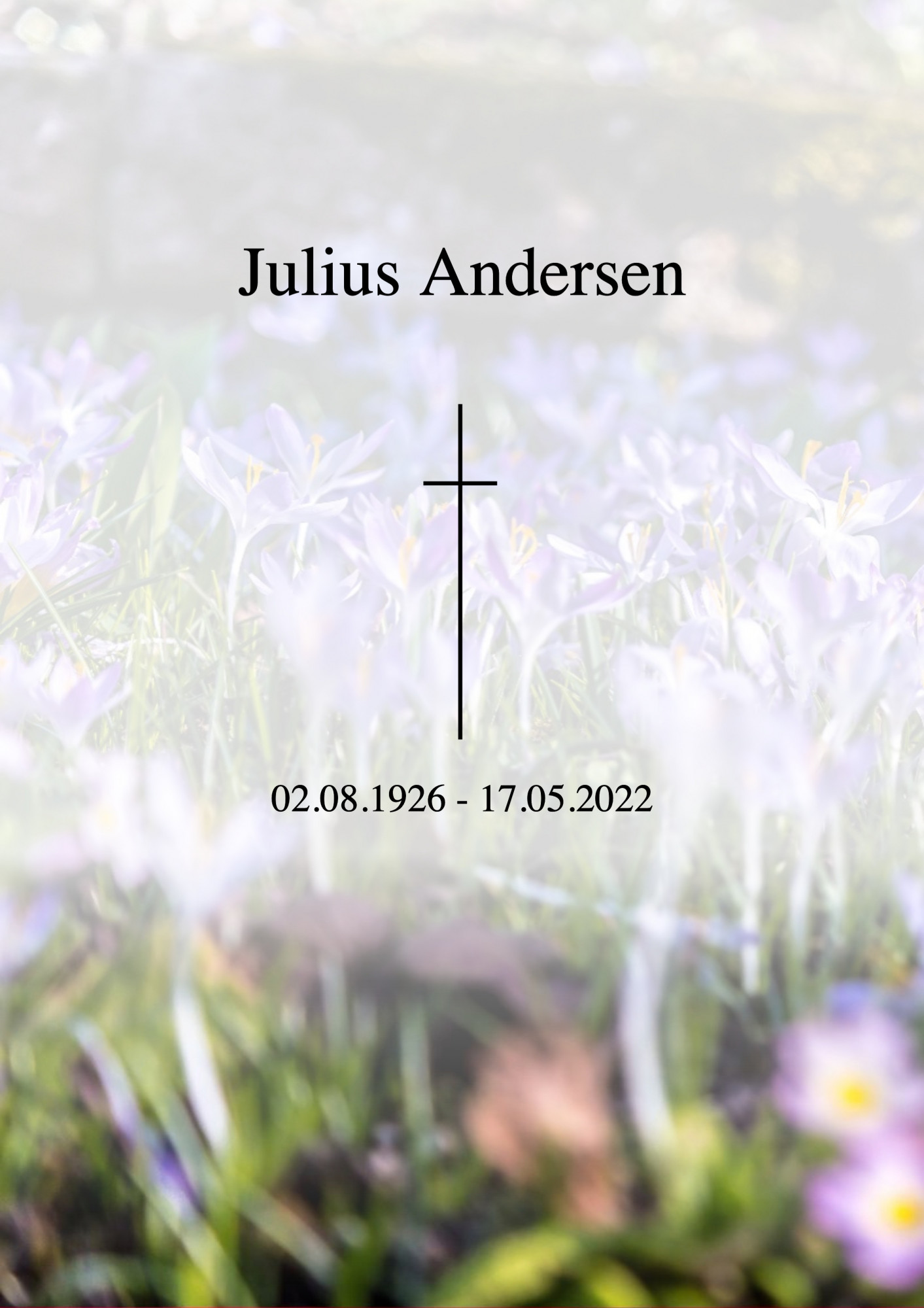 Traueranzeige von Julius Andersen