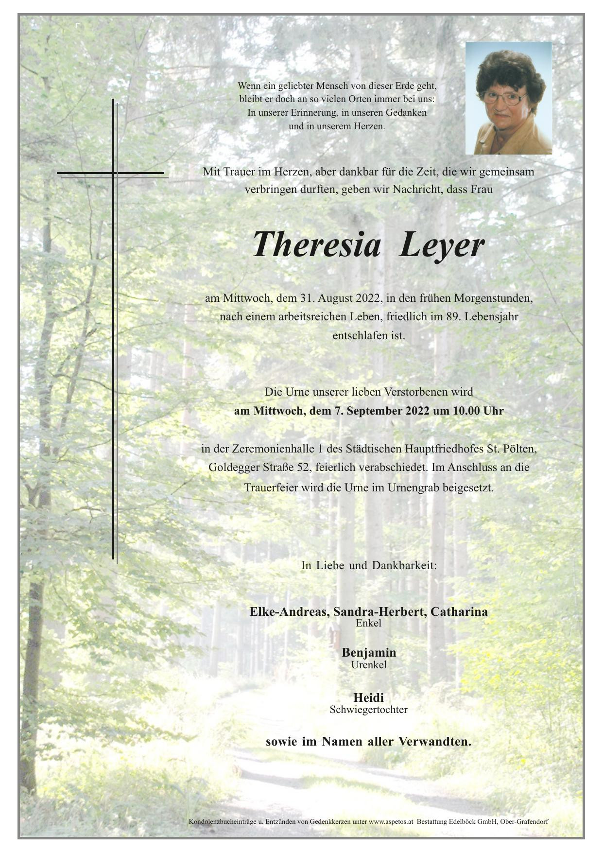 Traueranzeige von Theresia Leyer