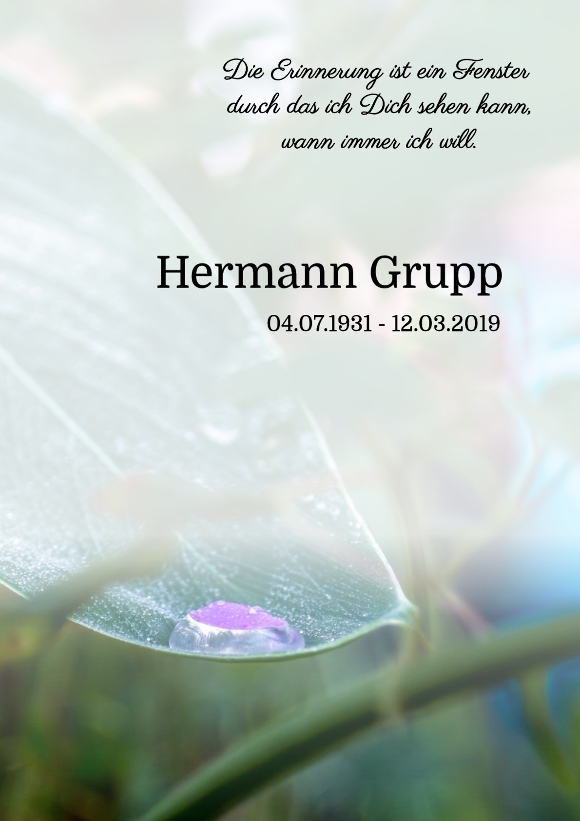 Traueranzeige von Hermann Grupp