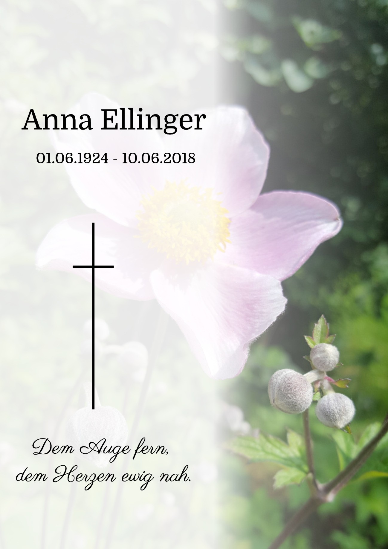 Traueranzeige von Anna Ellinger