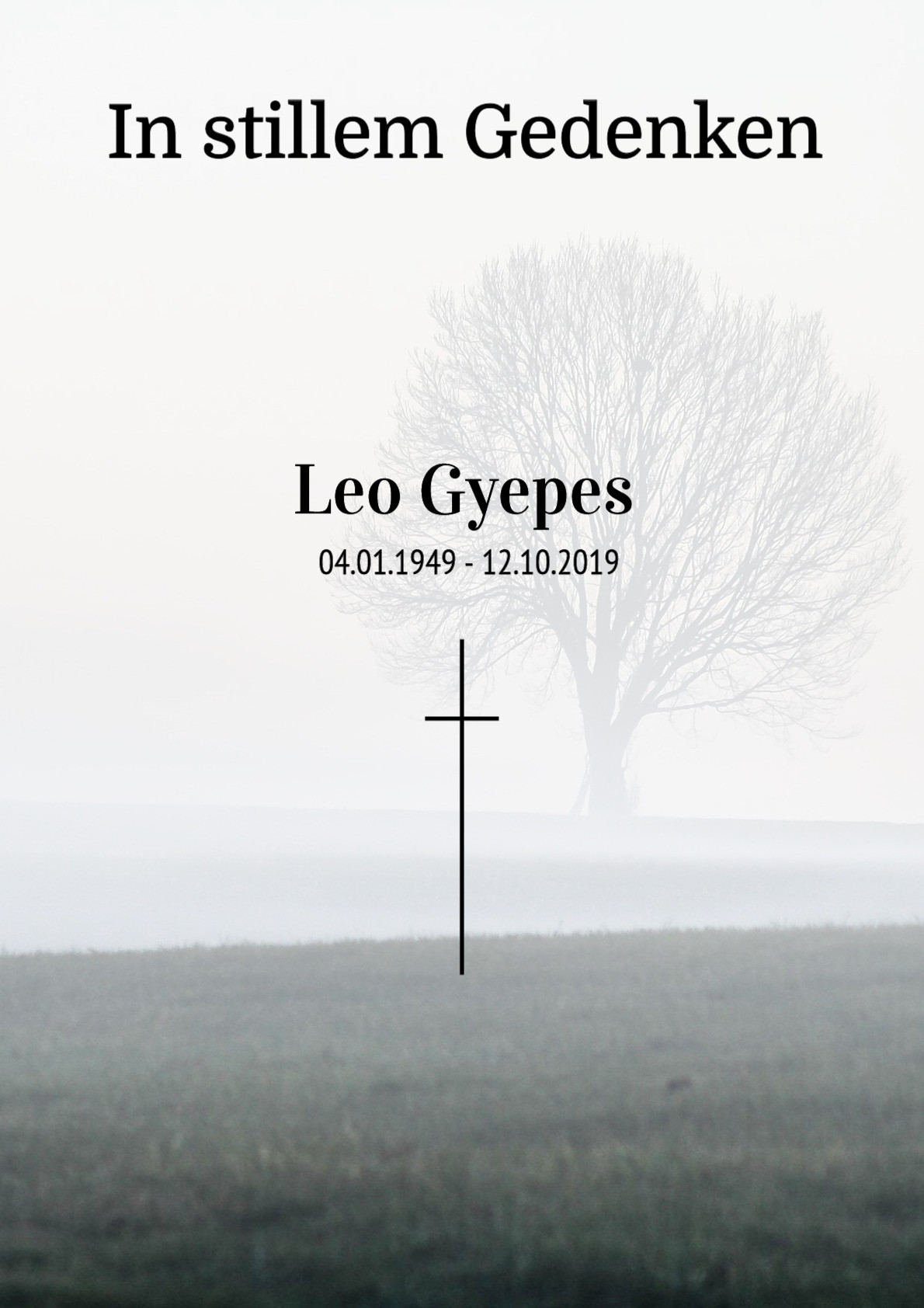 Traueranzeige von Leo Gyepes