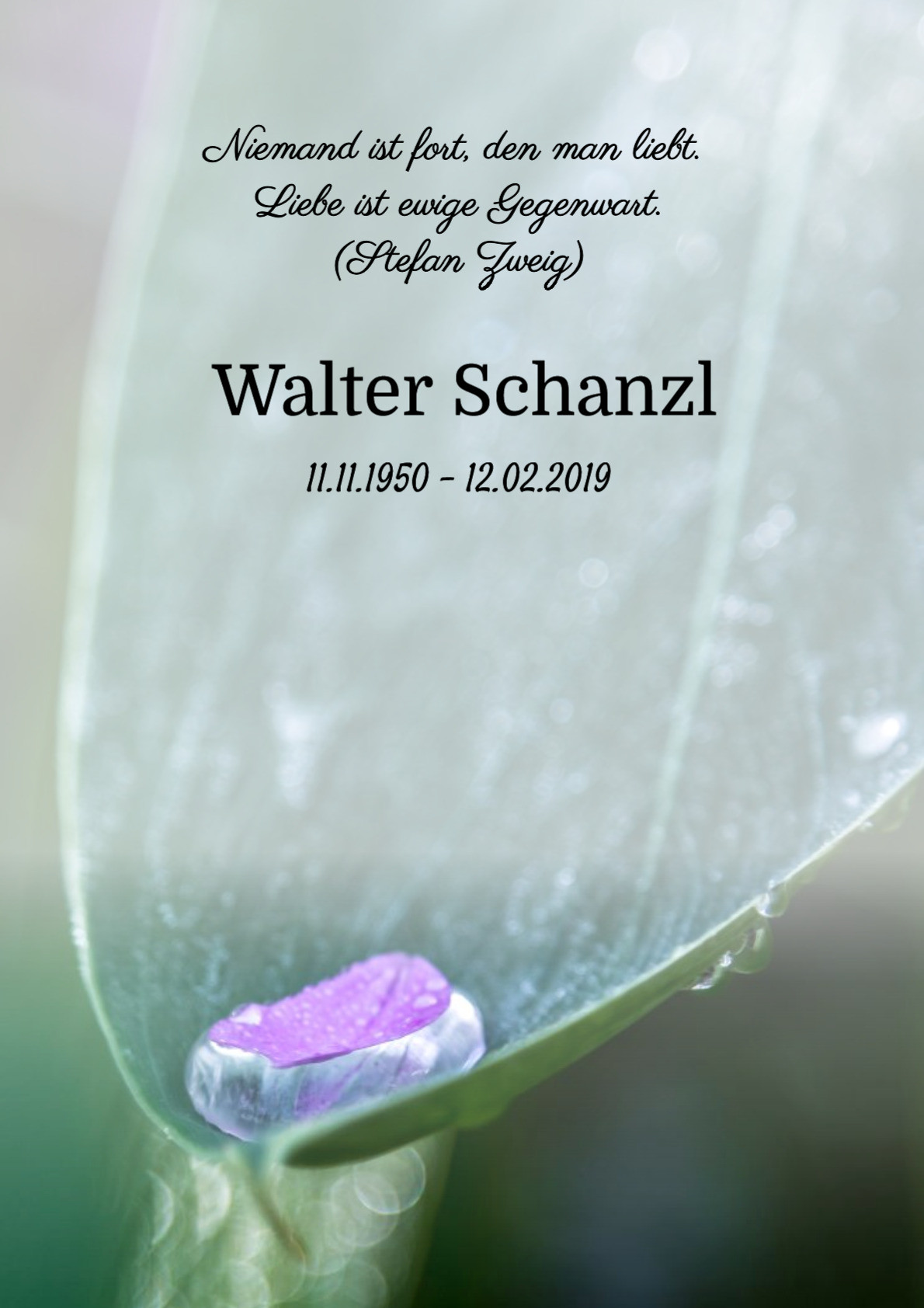 Traueranzeige von Walter Schanzl