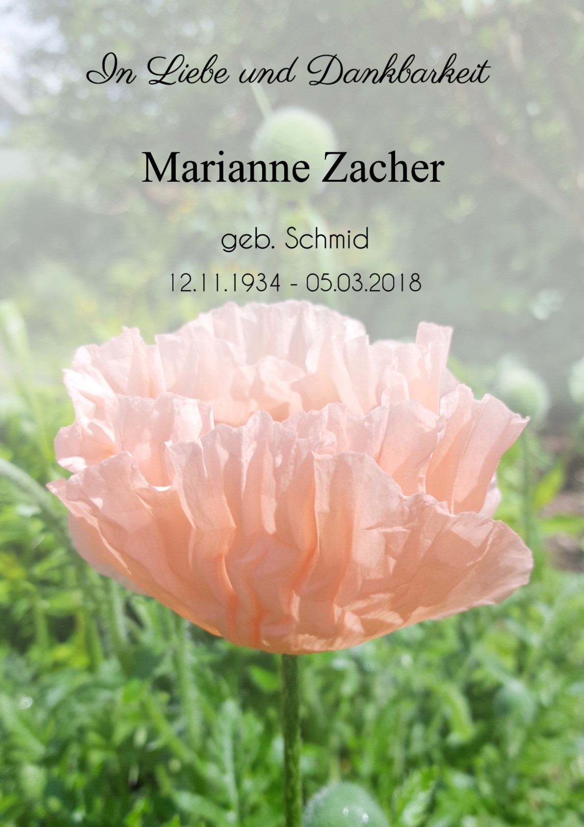 Traueranzeige von Marianne Zacher