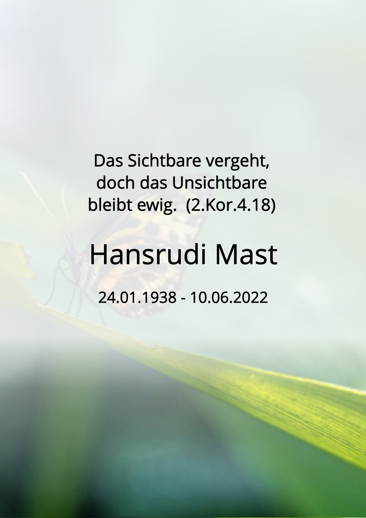 Traueranzeige von Hansrudi Mast