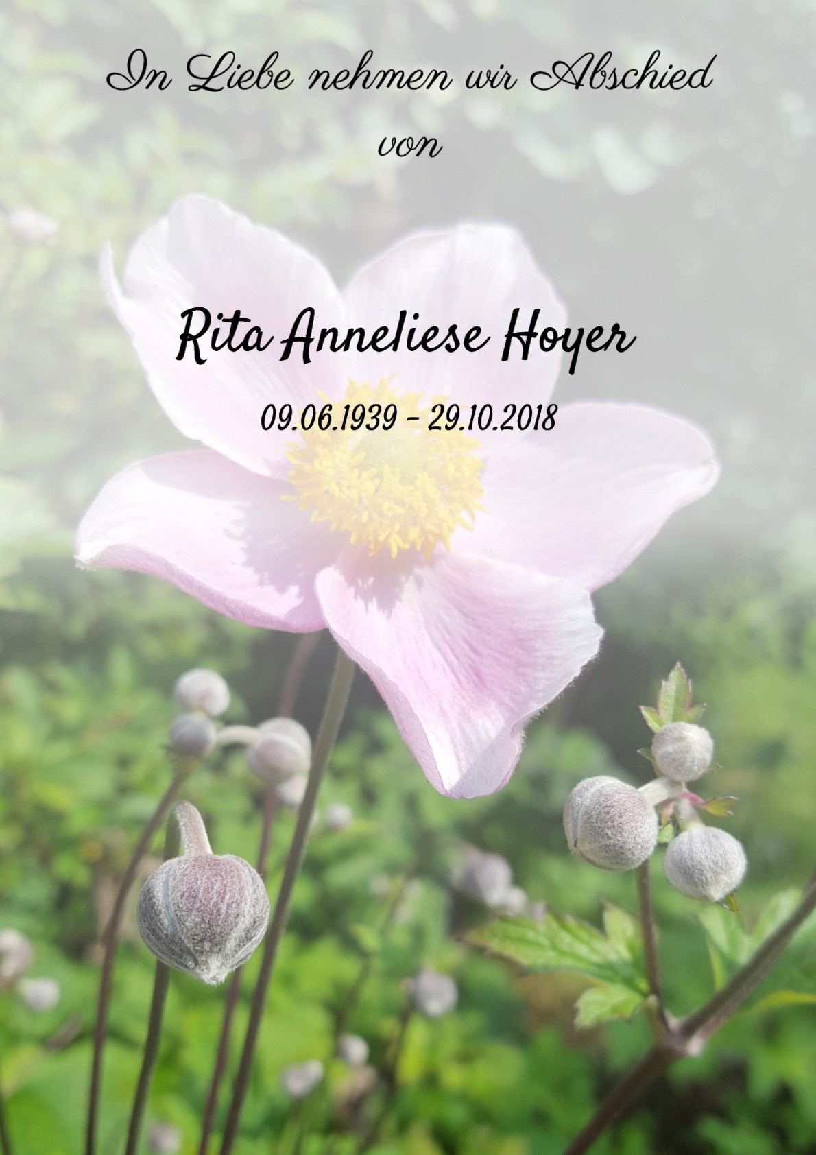 Traueranzeige von Rita Anneliese Hoyer