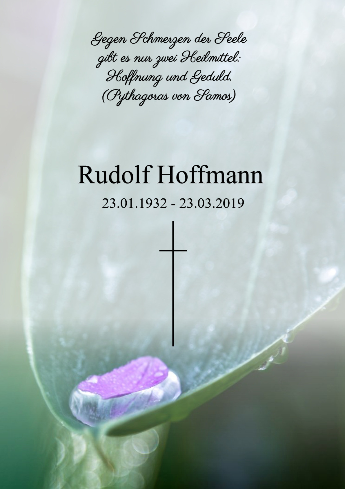 Traueranzeige von Rudolf Hoffmann