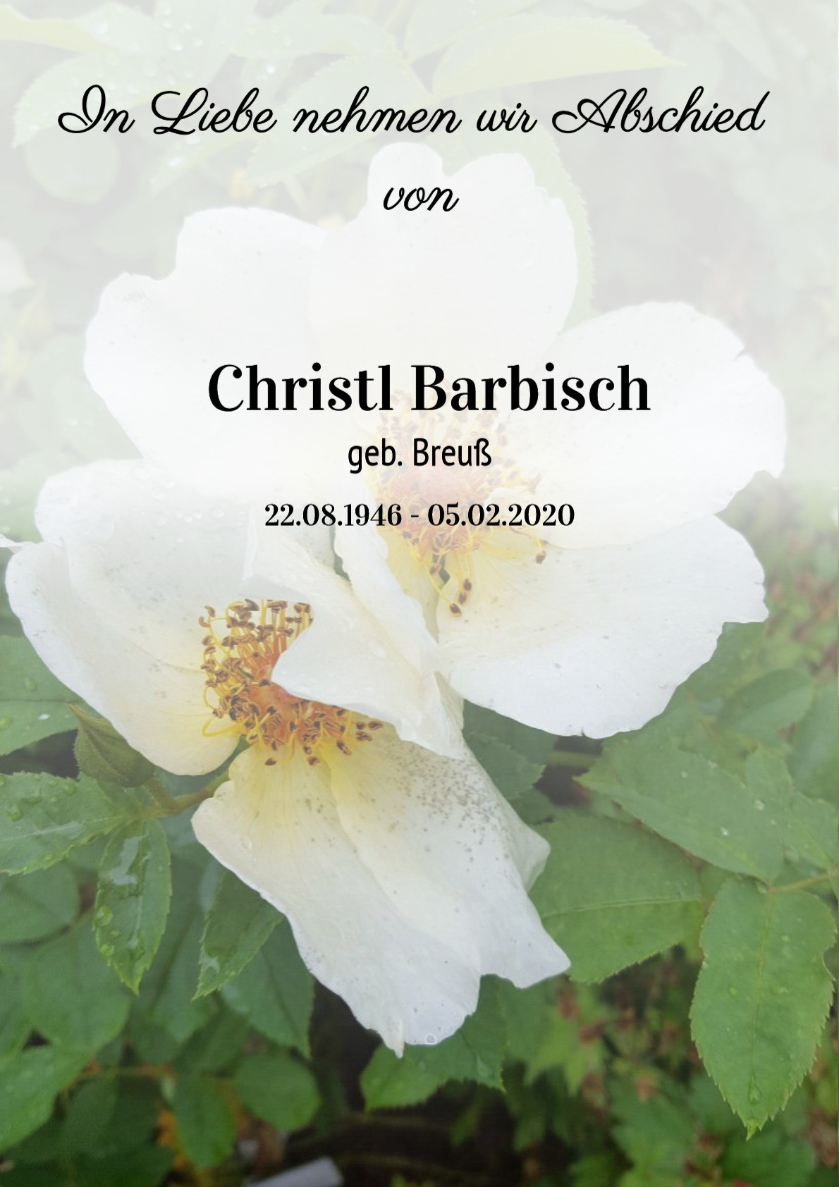 Traueranzeige von Christl Barbisch