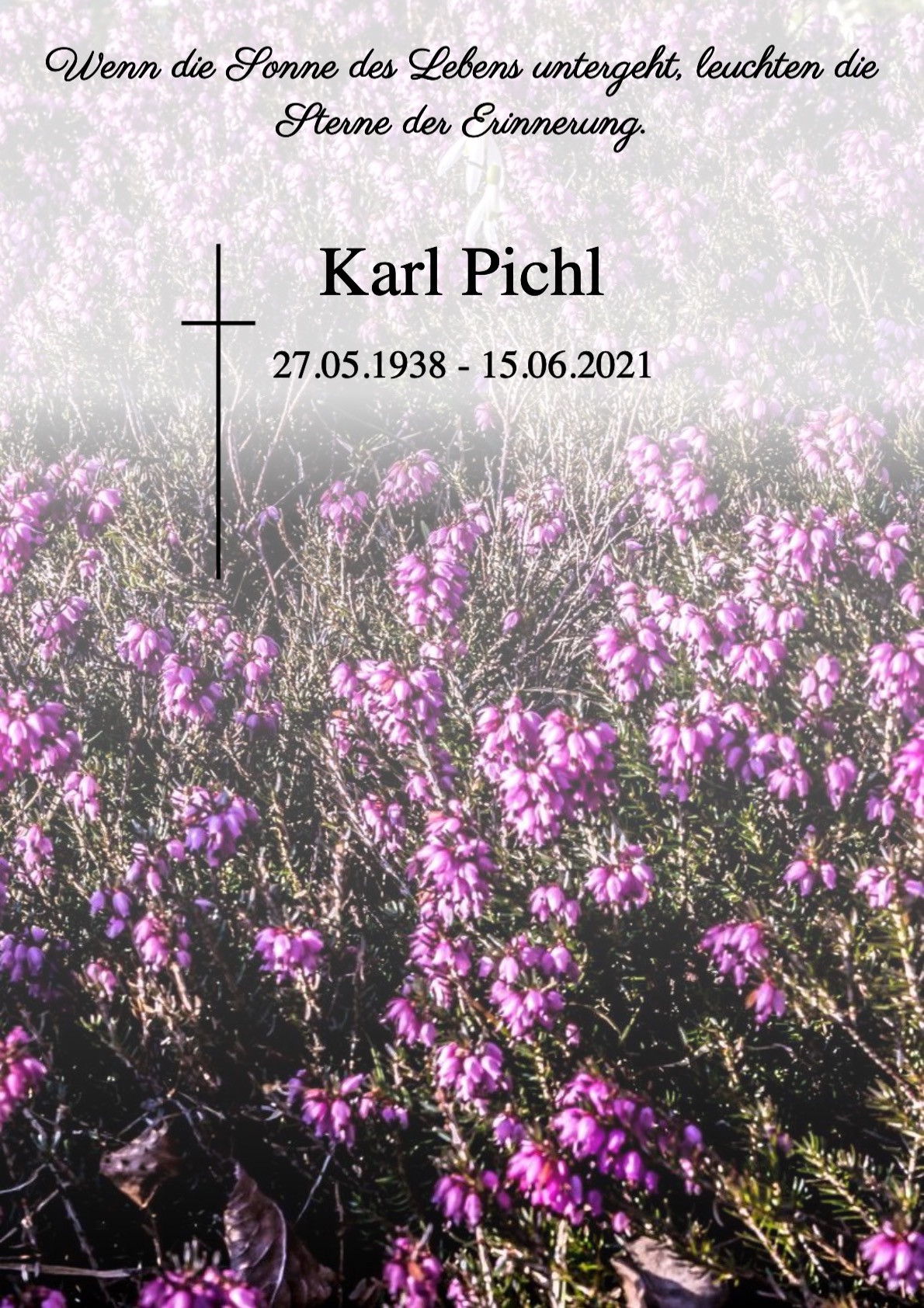Traueranzeige von Karl Pichl