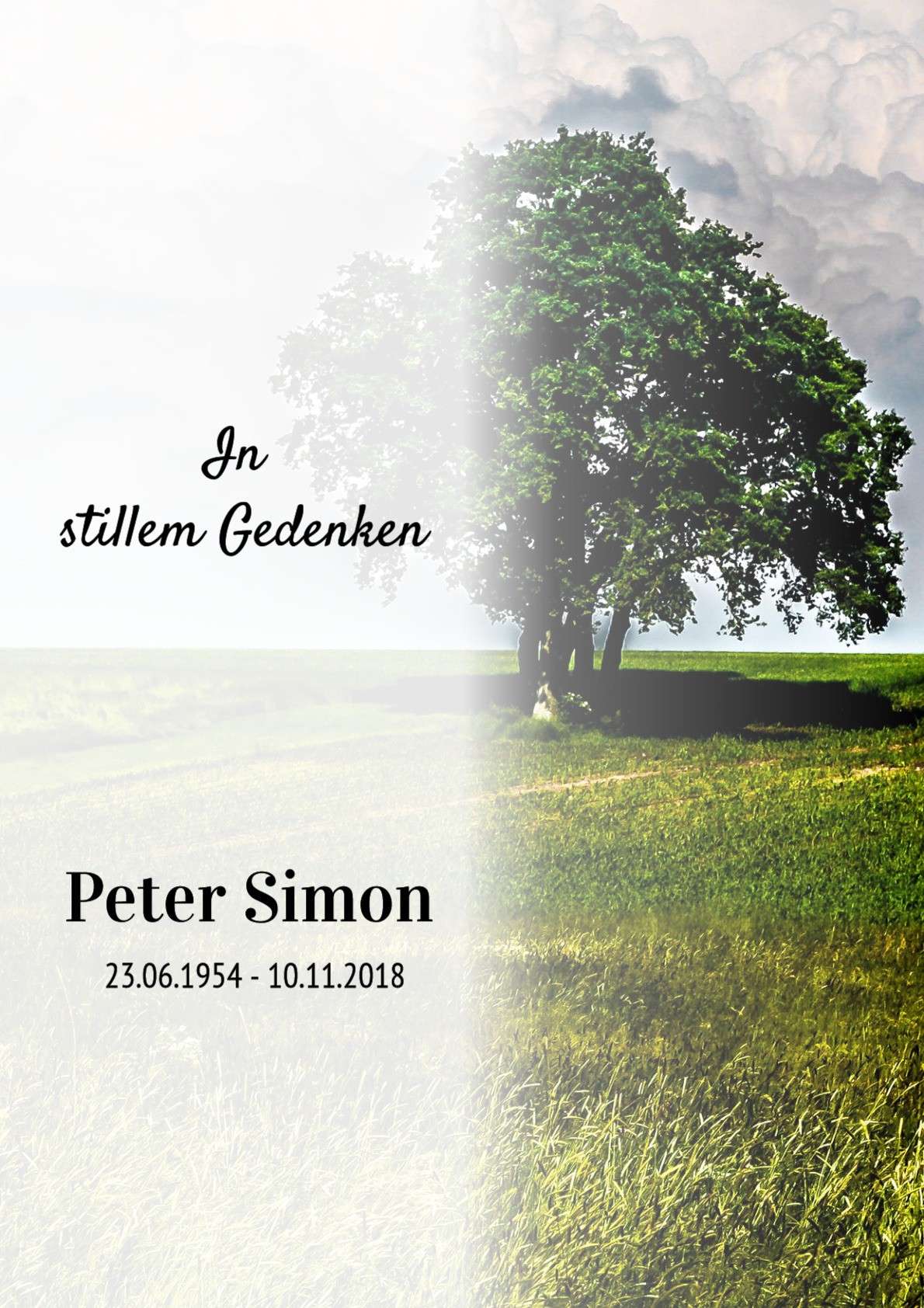 Traueranzeige von Peter Simon