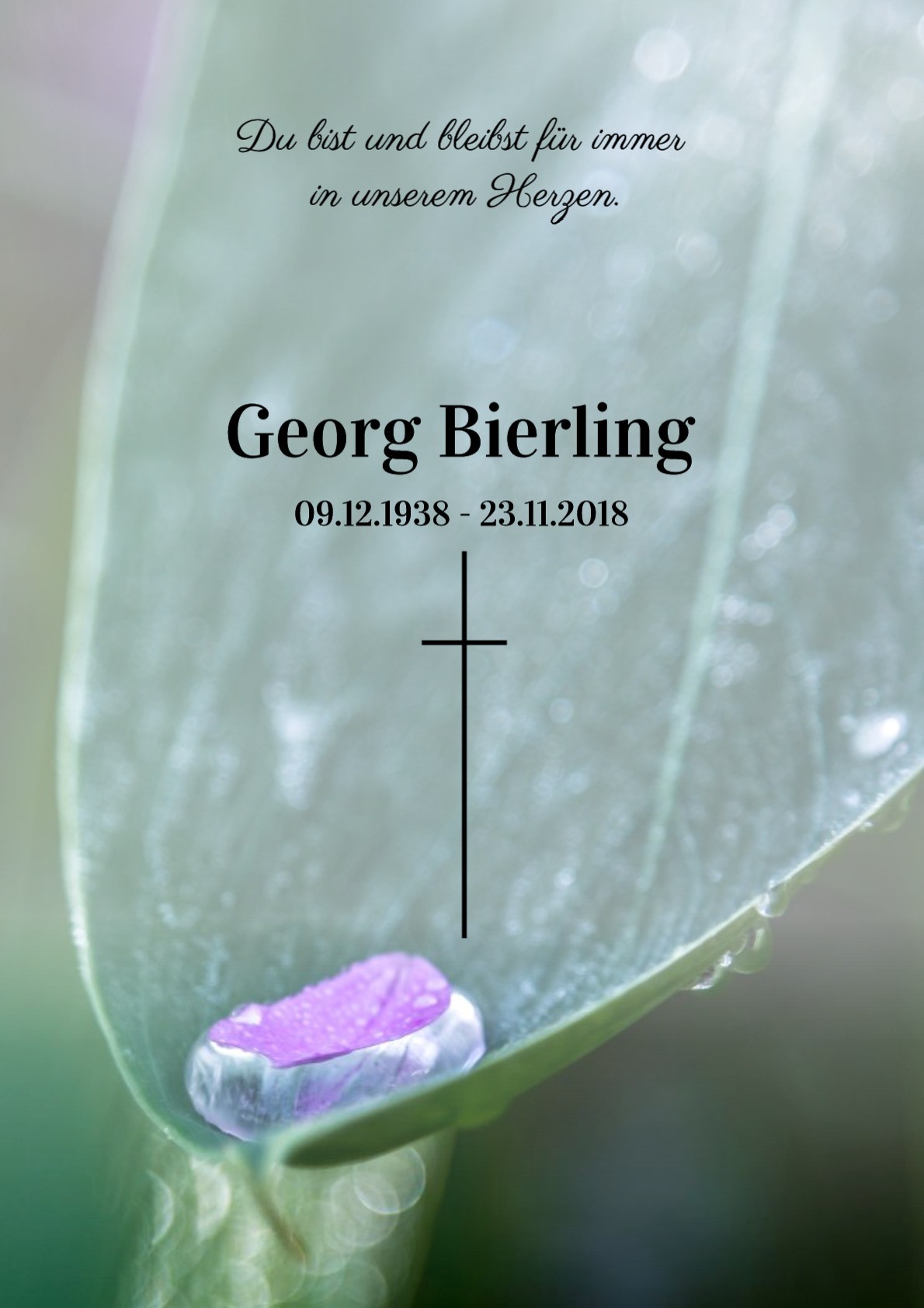 Traueranzeige von Georg Bierling