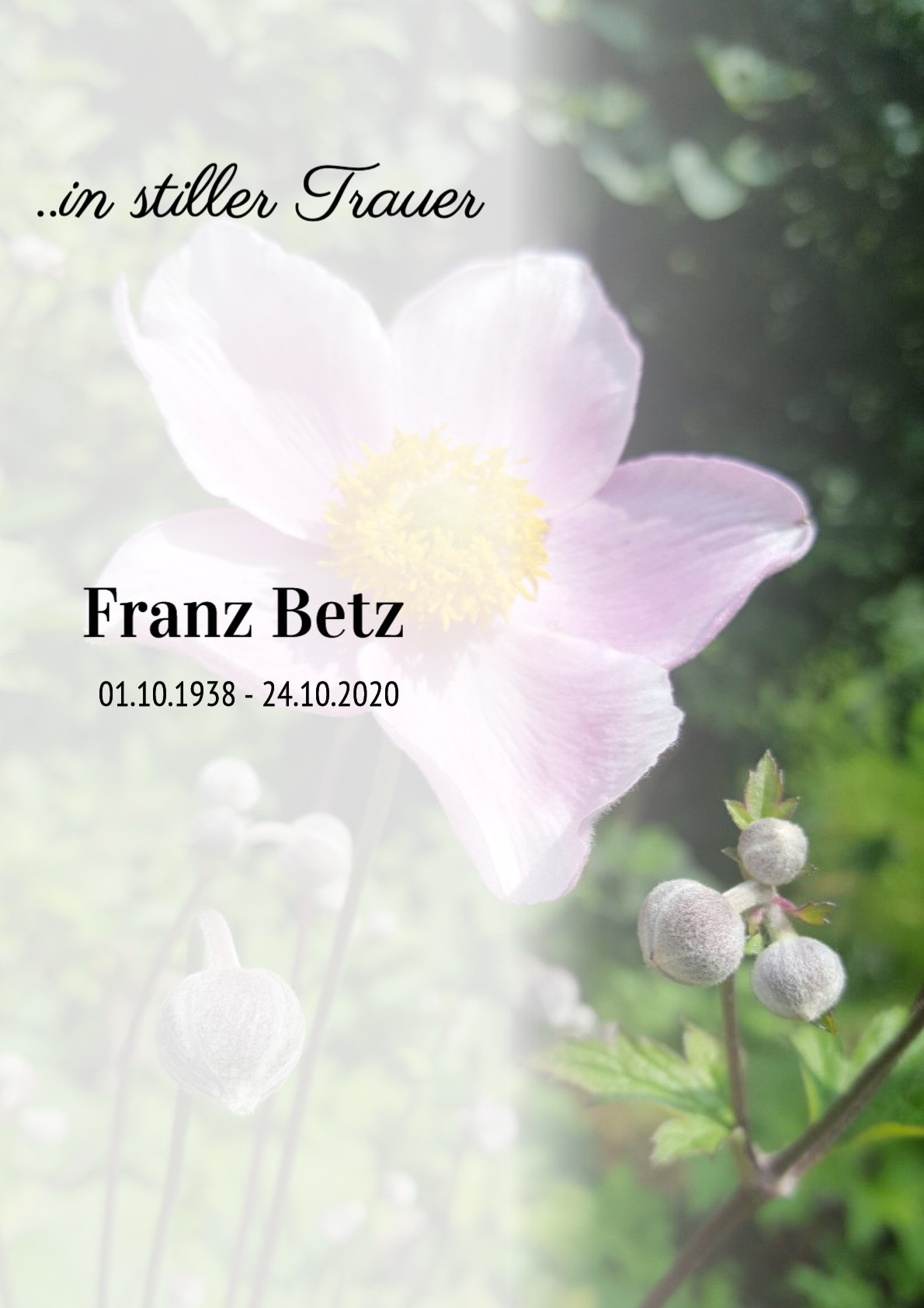 Traueranzeige von Franz Betz