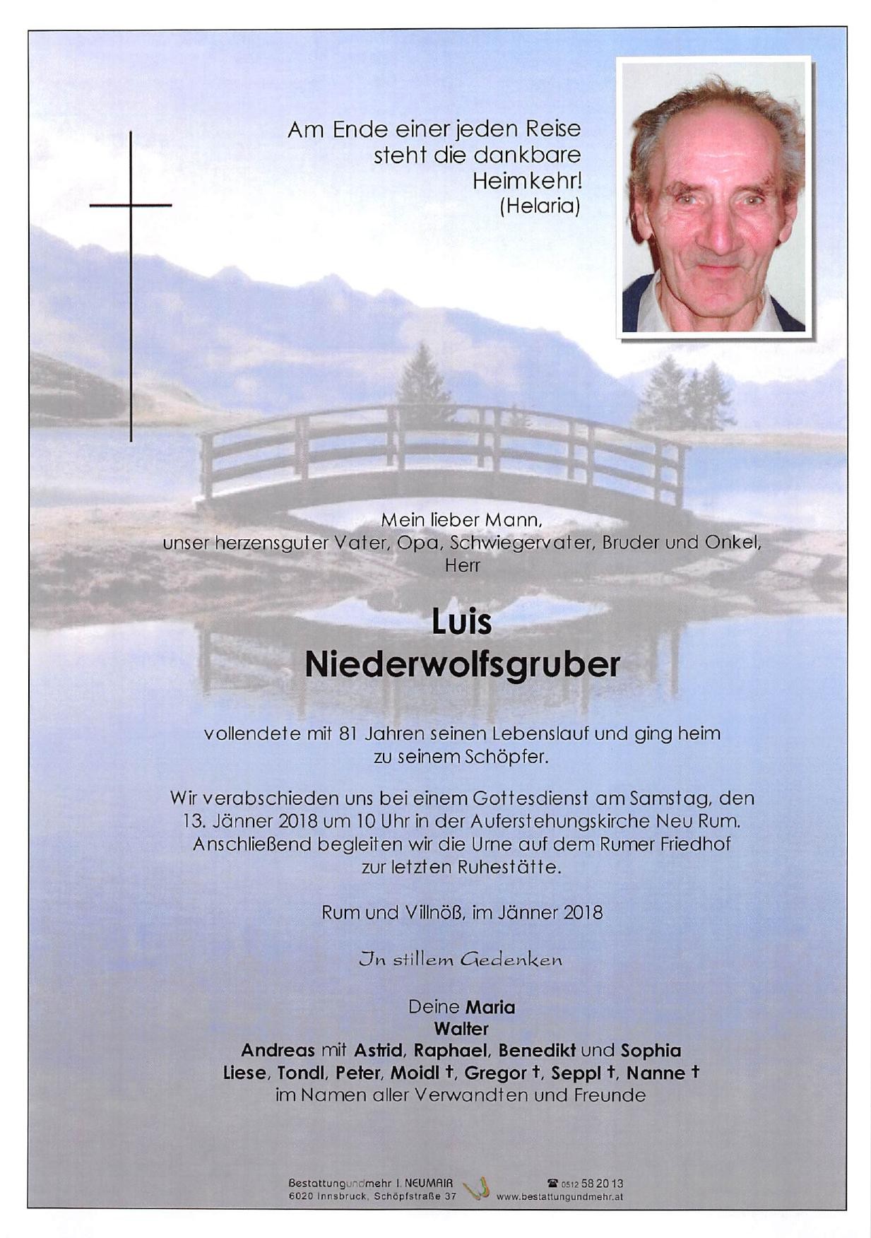 Traueranzeige von Luis Niederwolfsgruber
