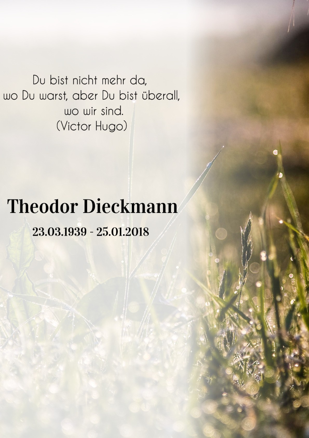 Traueranzeige von Theodor Dieckmann