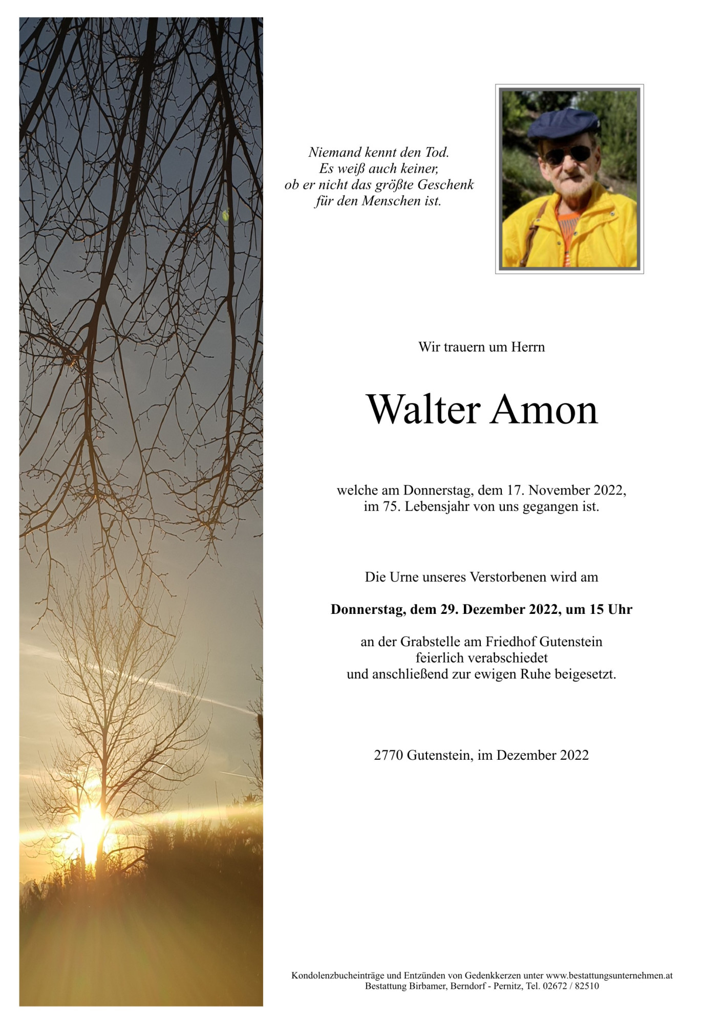 Traueranzeige von Walter Amon