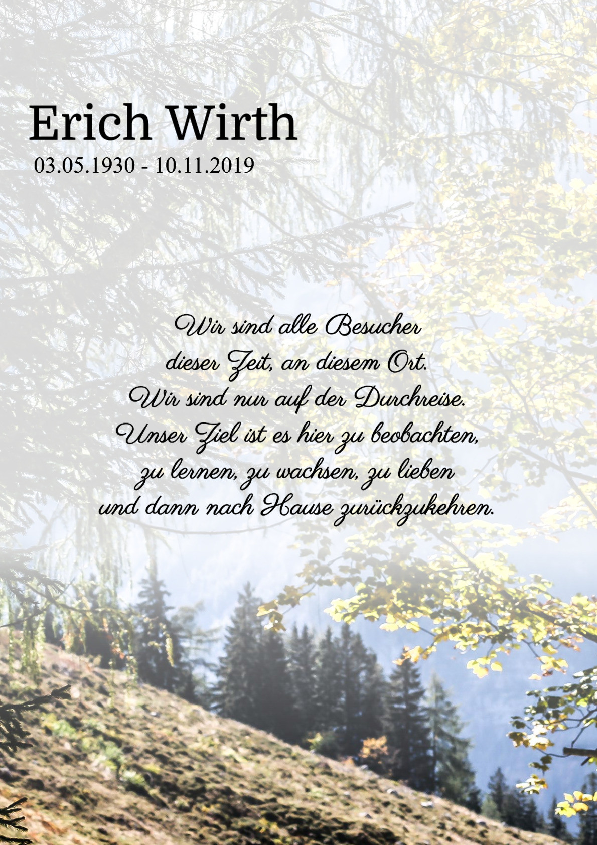 Traueranzeige von Erich Wirth