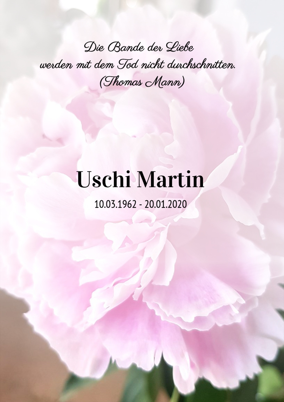 Traueranzeige von Uschi Martin