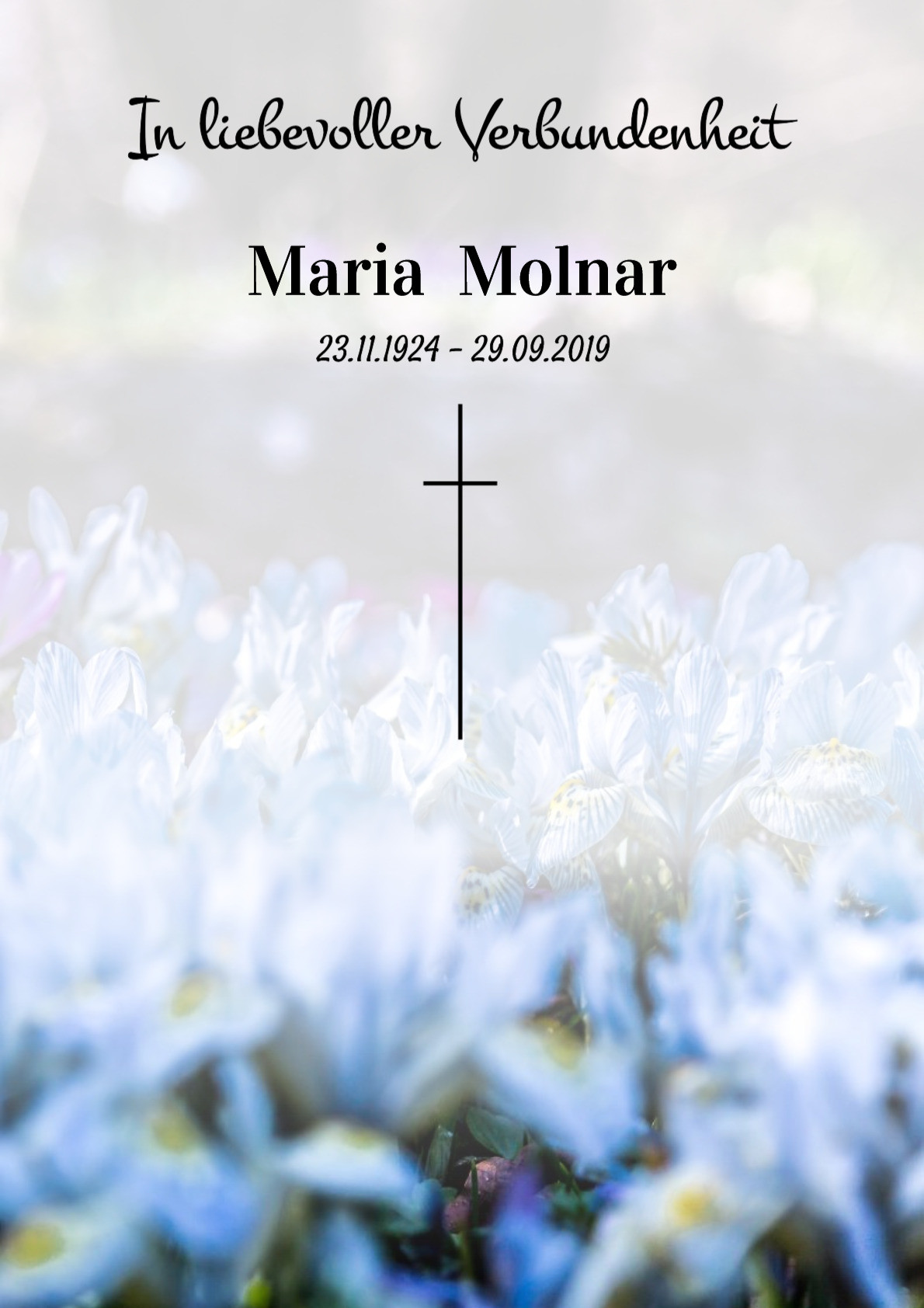 Traueranzeige von Maria Molnar