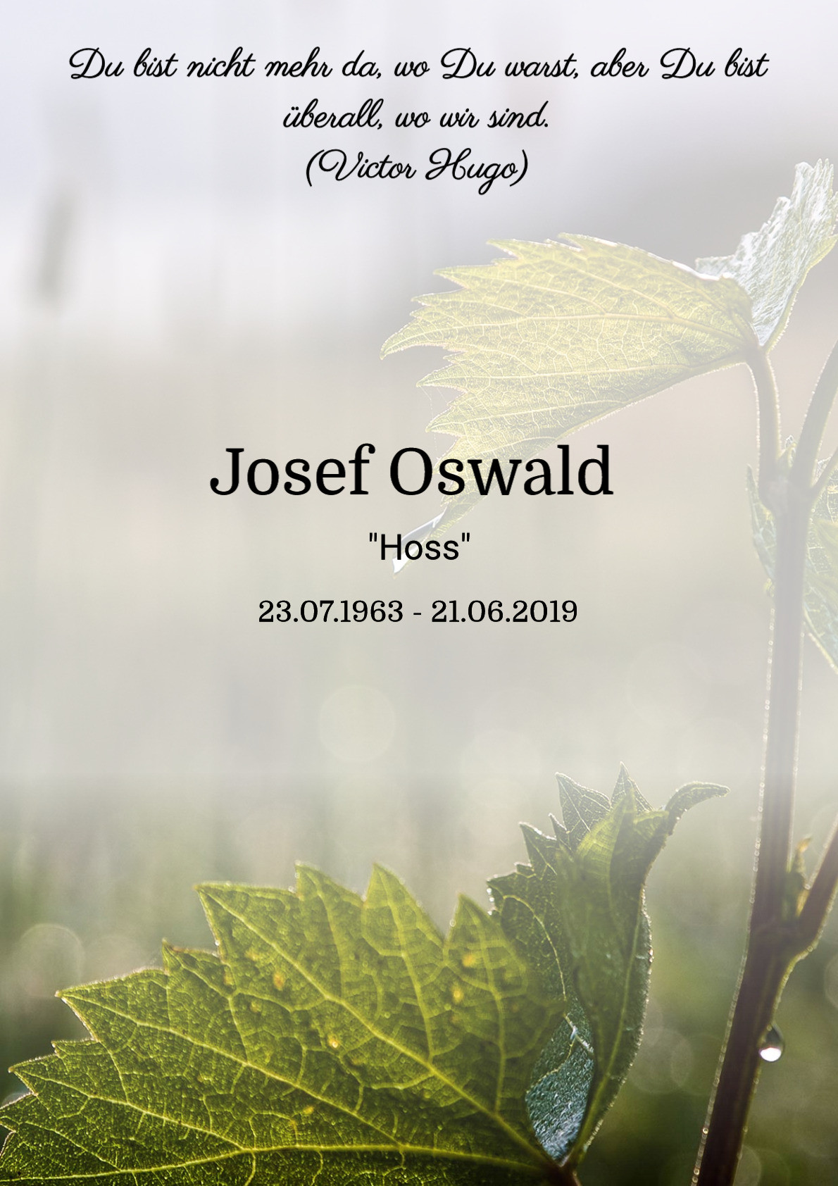Traueranzeige von Josef Oswald