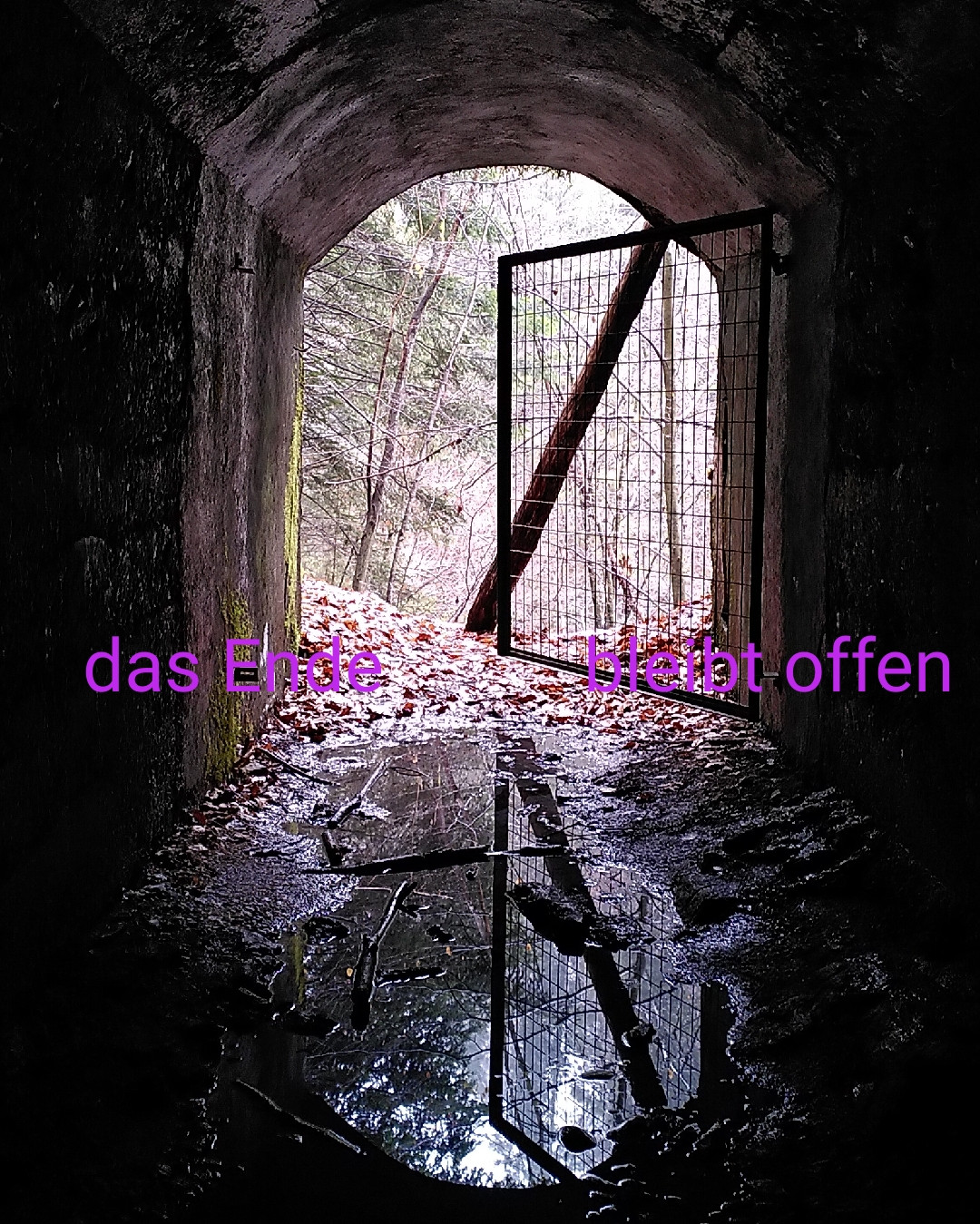 Tausch Raum und Zeit, Dein Lächeln bleibt???????? liebe Gerda, Deine Erinnerung bleibt in unseren Herzen ???? unsere Gedanken sind bei Dir, wir werden alles tun Deine liebe Familie und besonders Deinen lieben Hans zu unterstützen und zu begleiten ????????