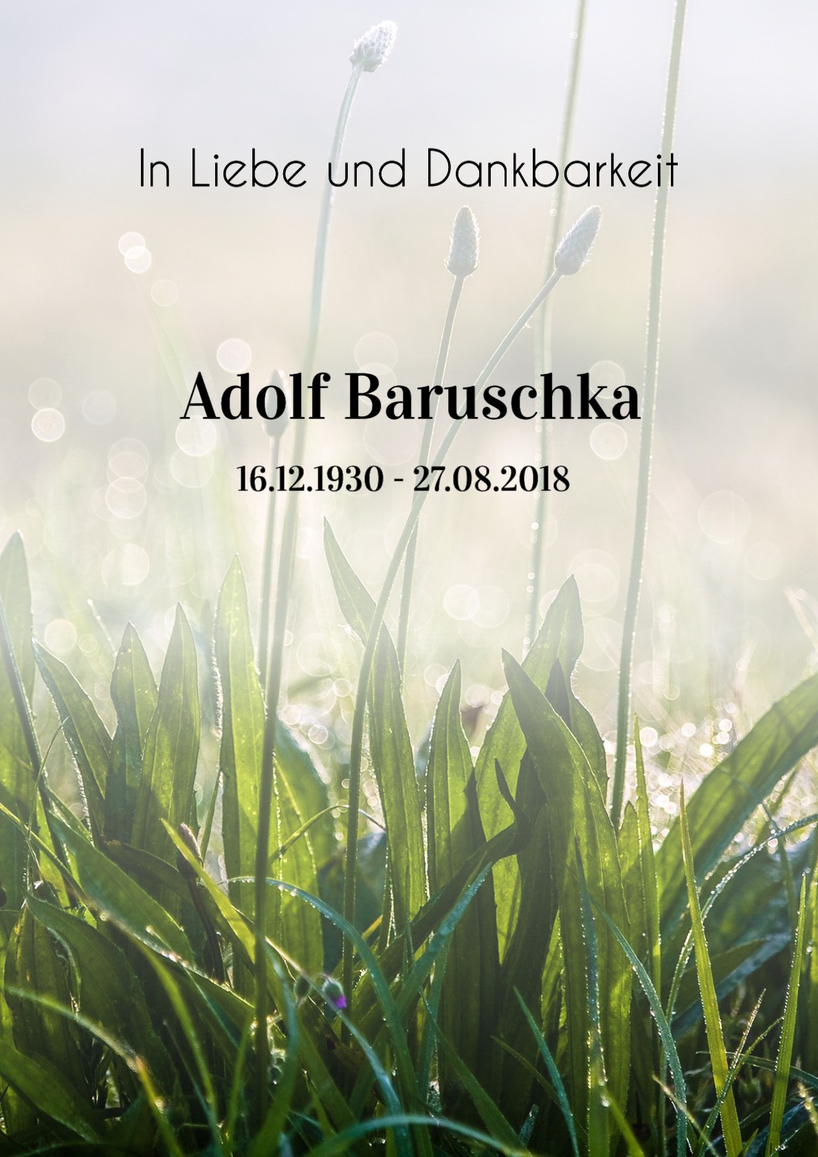 Traueranzeige von Adolf Baruschka
