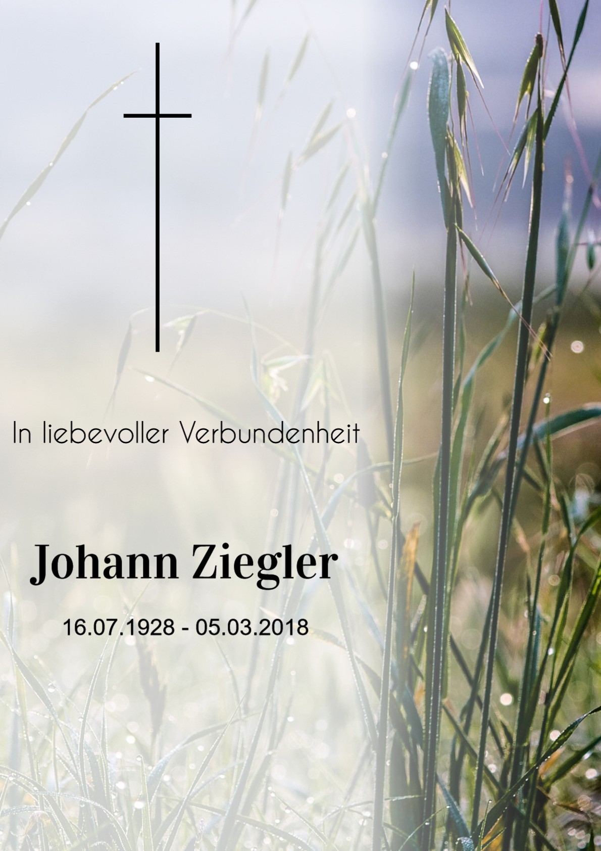 Traueranzeige von Johann Ziegler