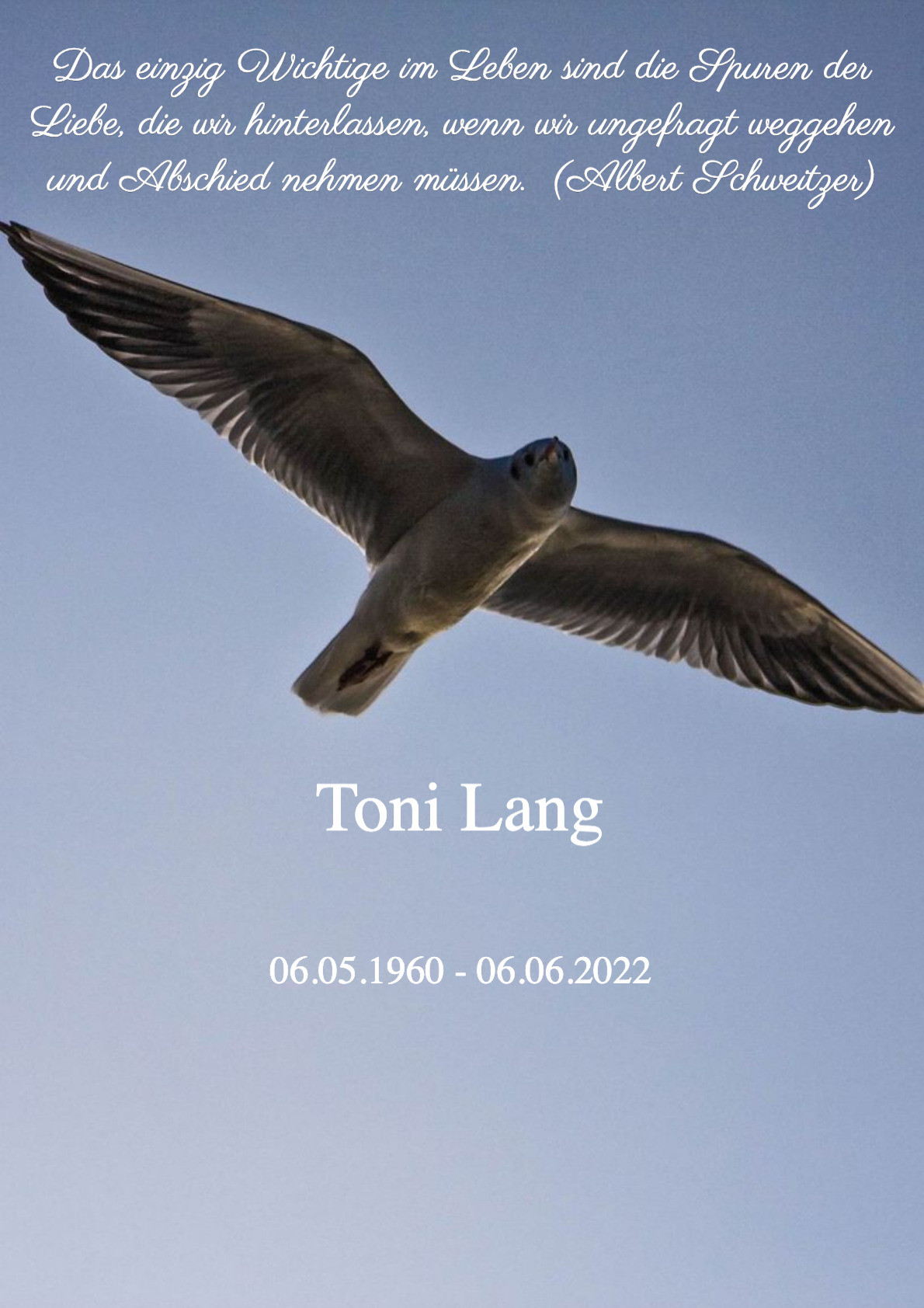 Traueranzeige von Toni Lang