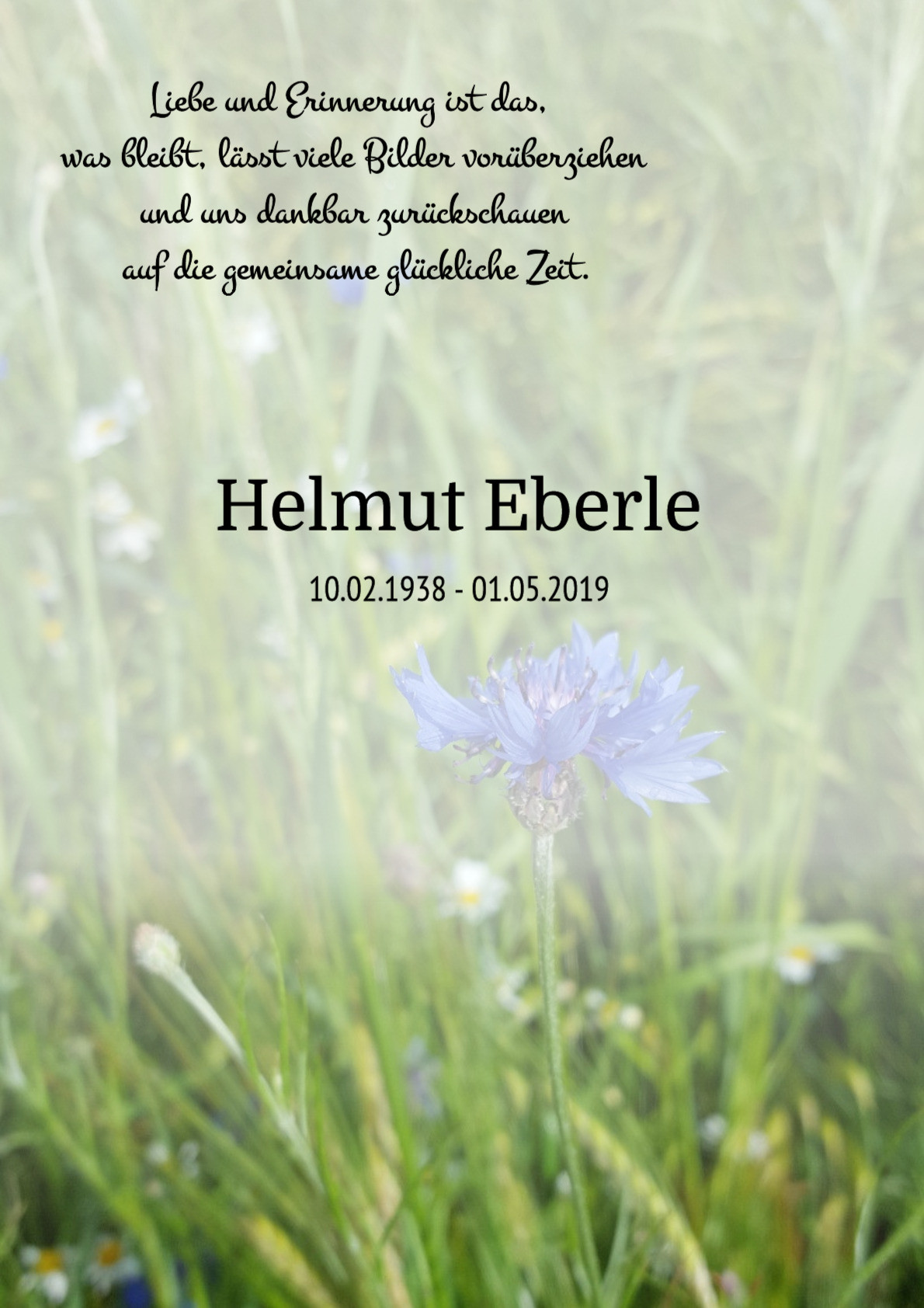 Traueranzeige von Helmut Eberle