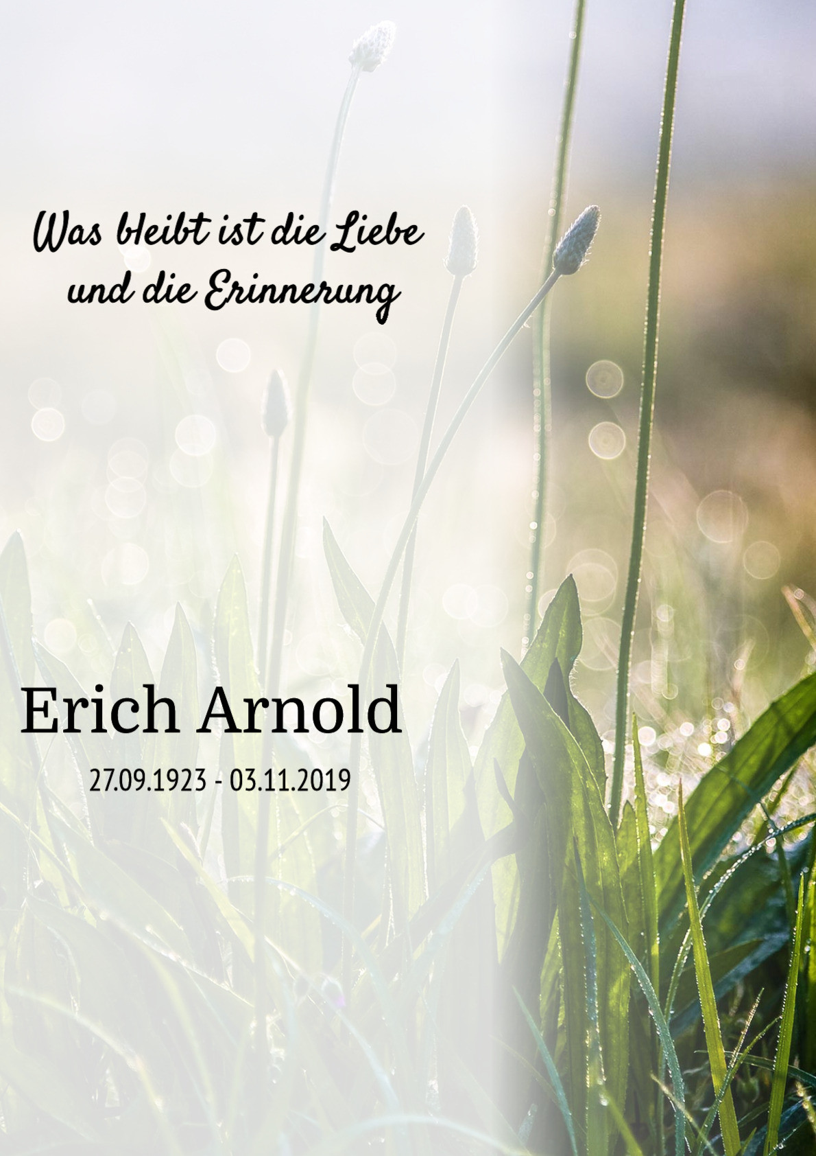 Traueranzeige von Erich Arnold