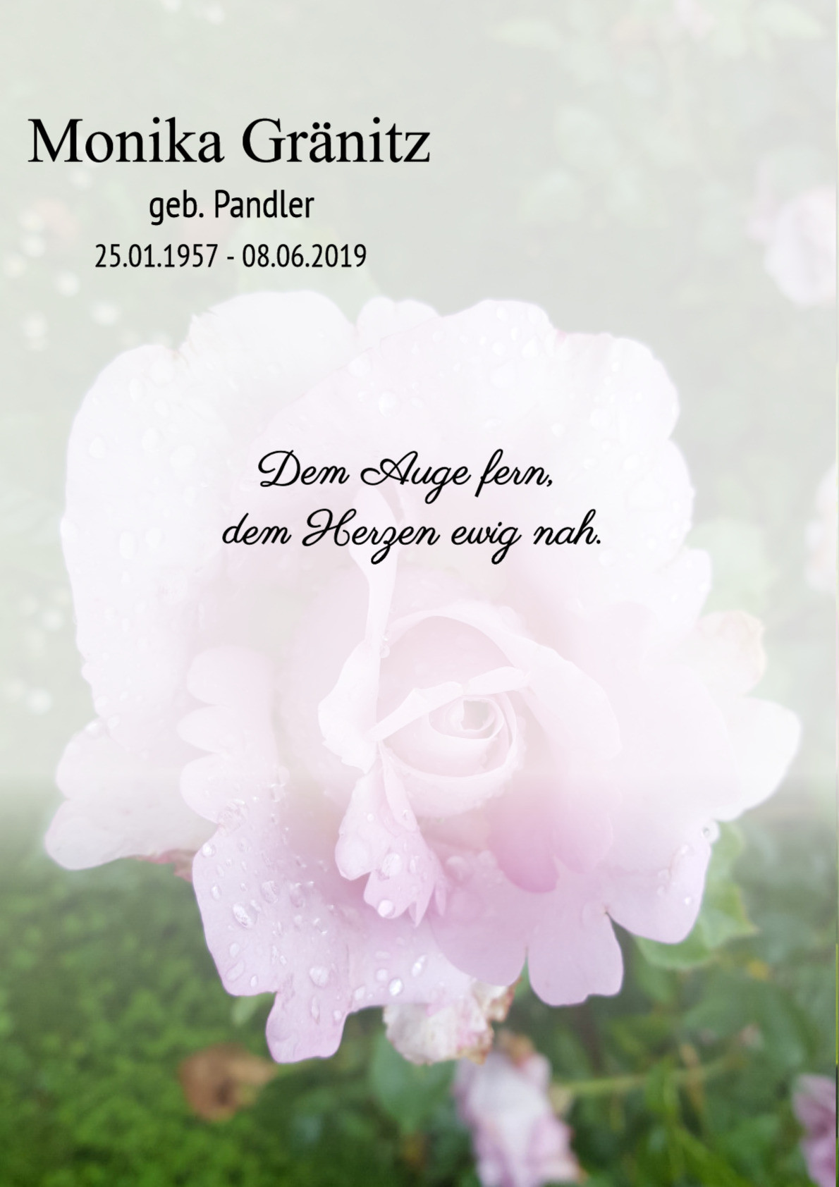 Traueranzeige von Monika Gränitz