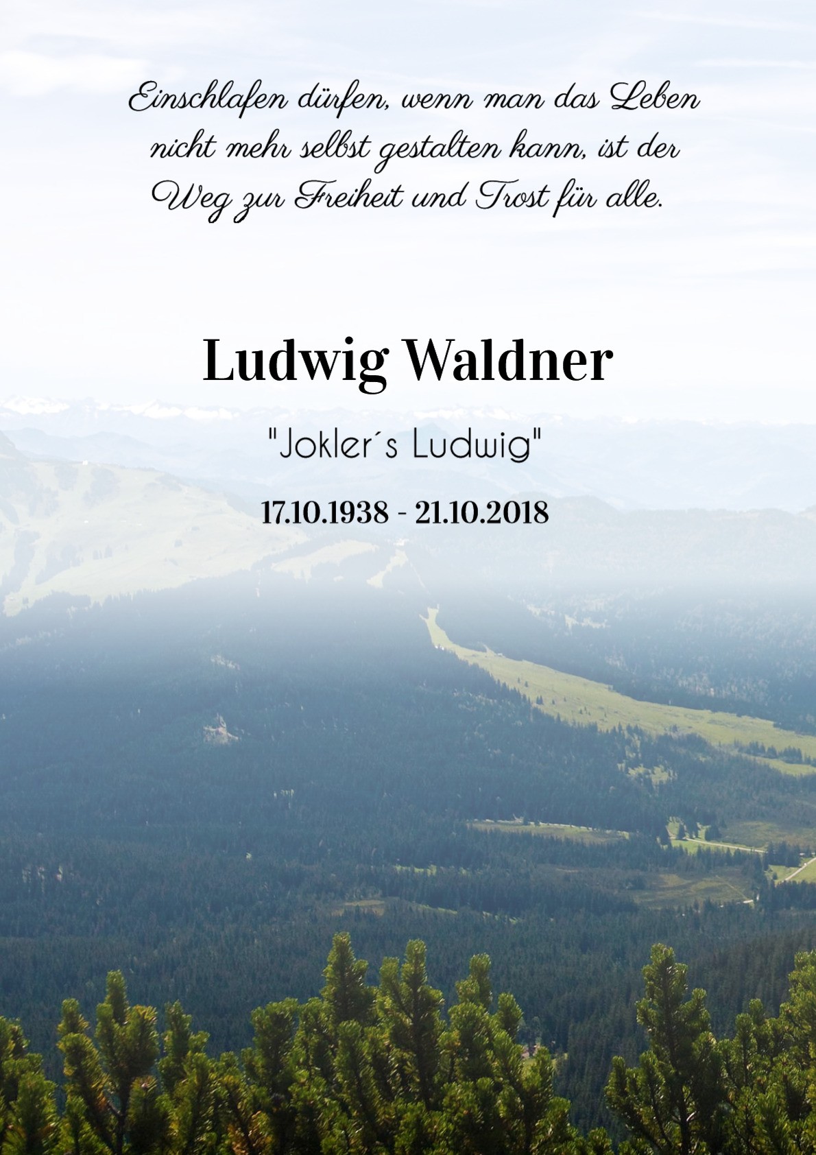Traueranzeige von Ludwig Waldner