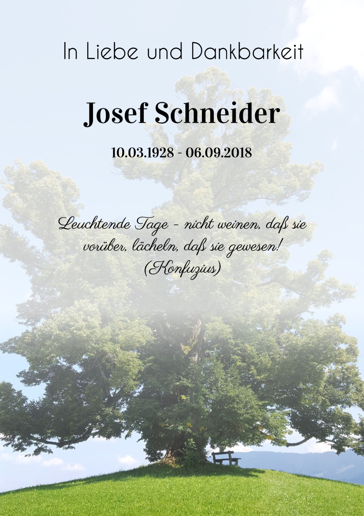 Traueranzeige von Josef Schneider