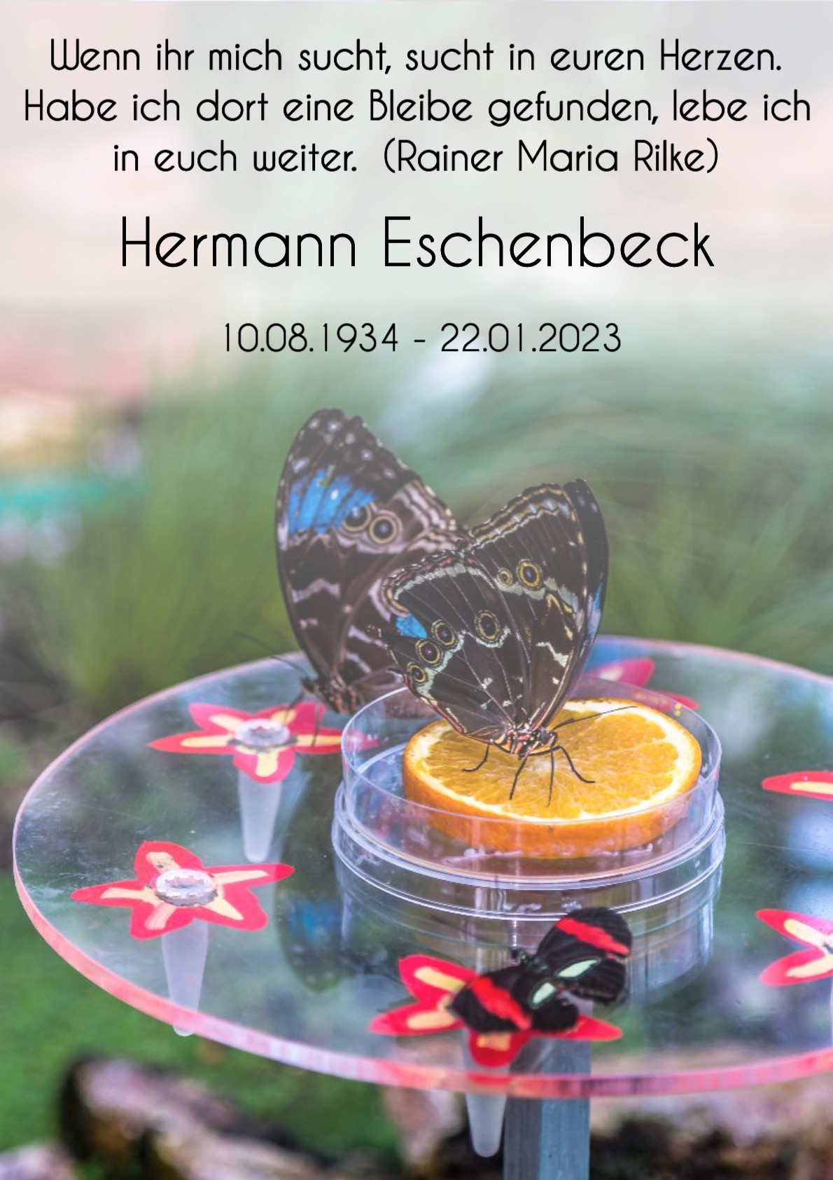 Traueranzeige von Hermann Eschenbeck