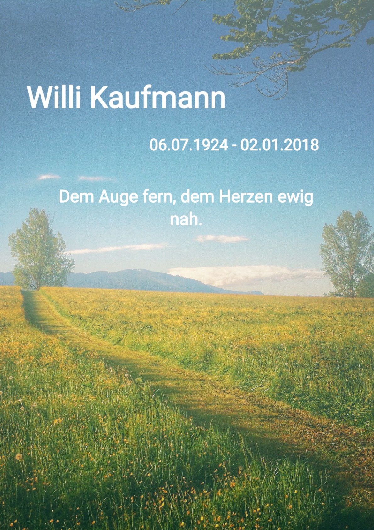 Traueranzeige von Willi Kaufmann