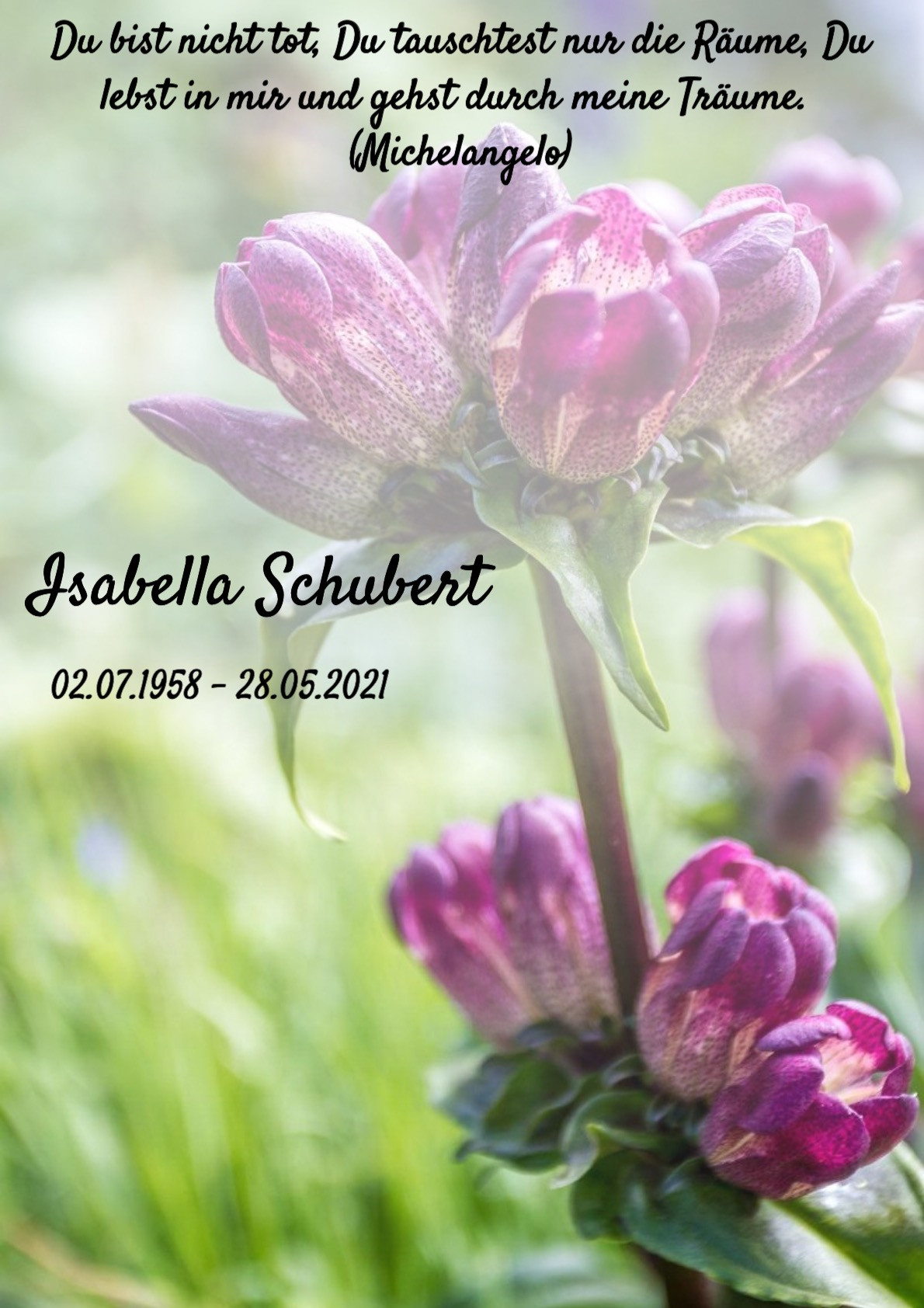 Traueranzeige von Isabella Schubert