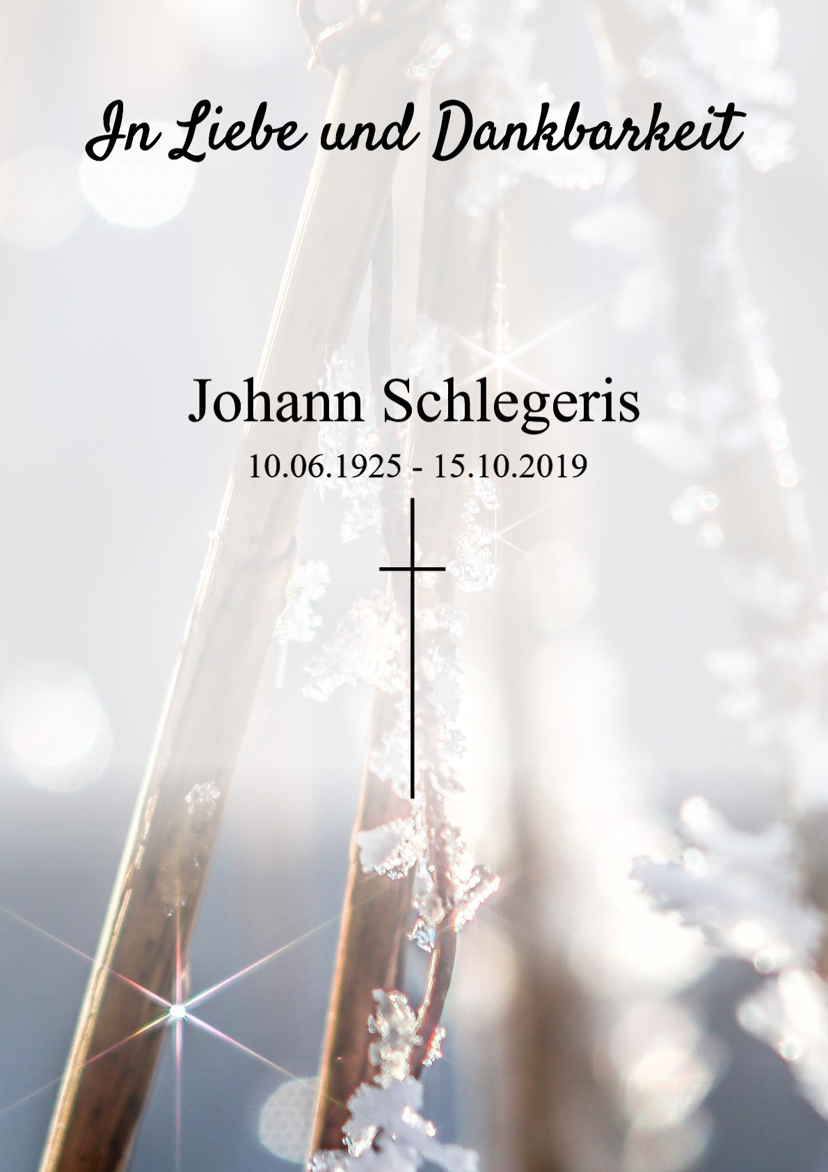 Traueranzeige von Johann Schlegeris