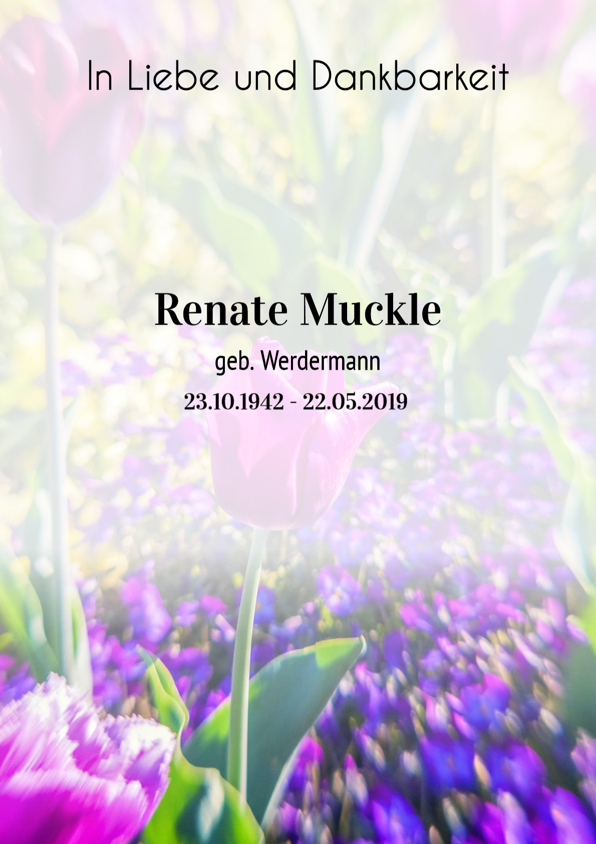 Traueranzeige von Renate Muckle