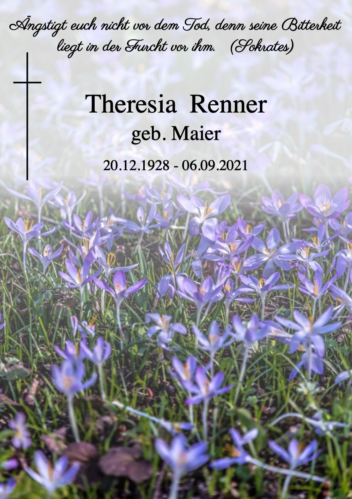 Traueranzeige von Theresia Renner