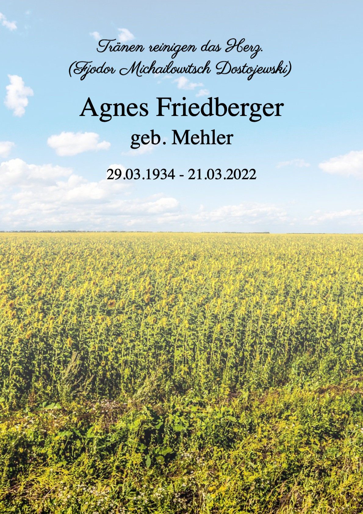Traueranzeige von Agnes Friedberger