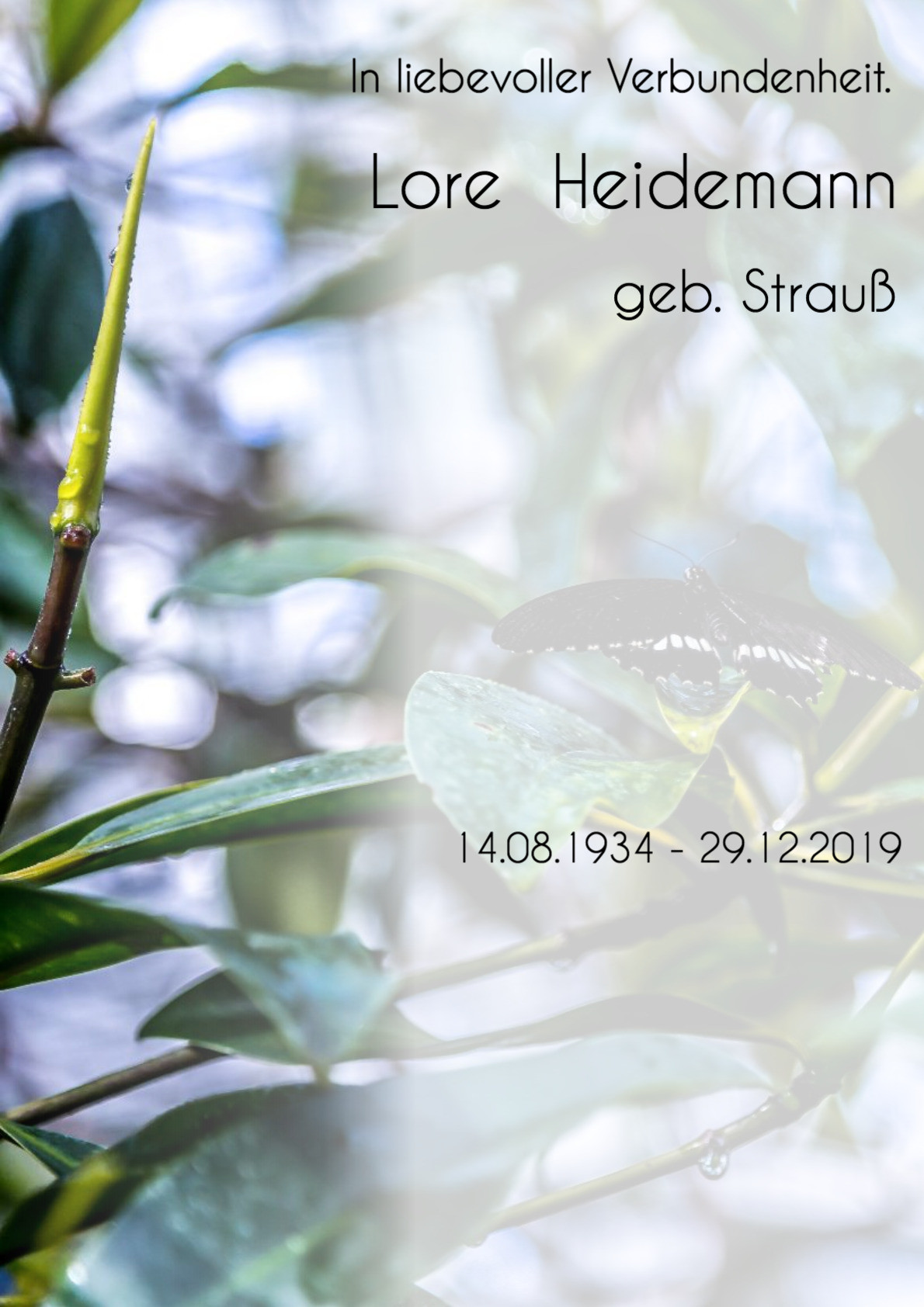 Traueranzeige von Lore Heidemann