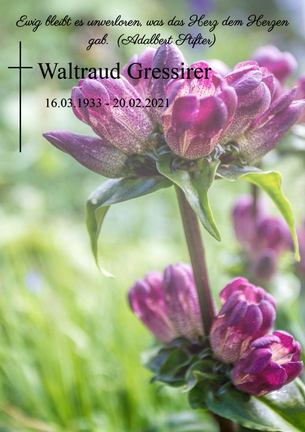 Traueranzeige von Waltraud Gressirer