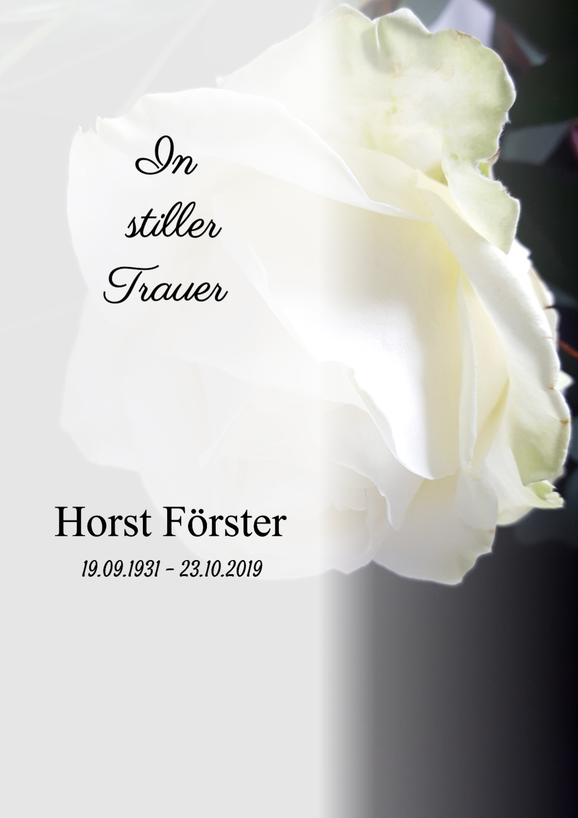 Traueranzeige von Horst Förster