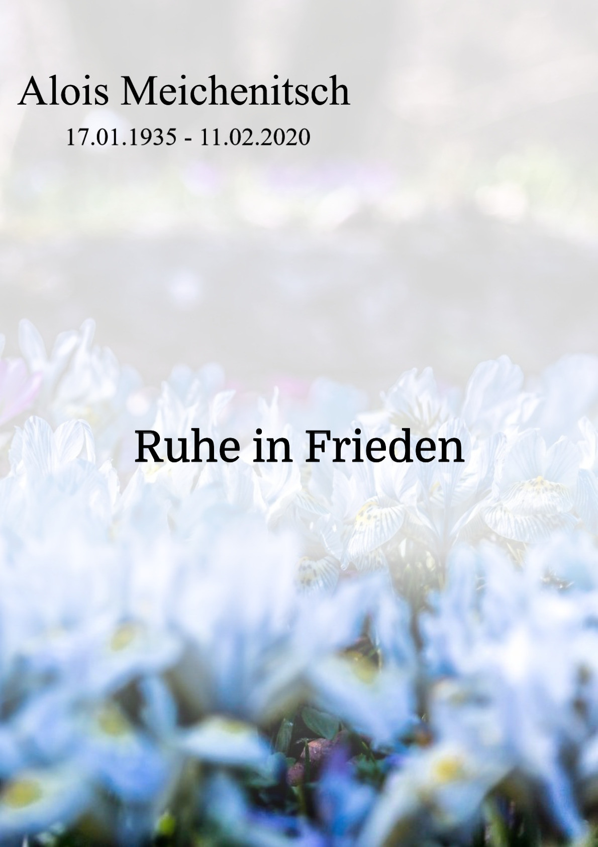 Traueranzeige von Alois Meichenitsch